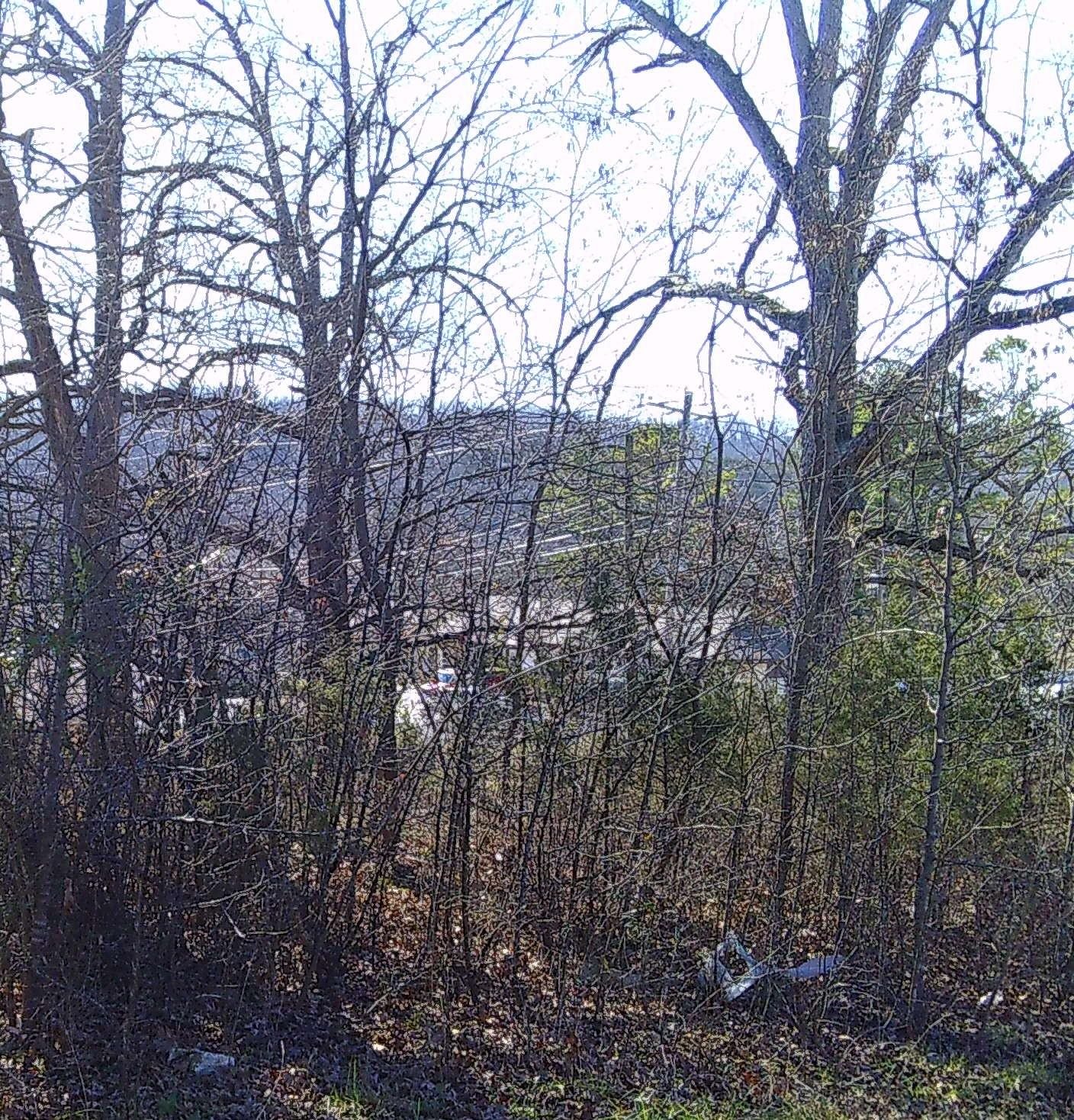 TBD Church Street  Hardy, AR