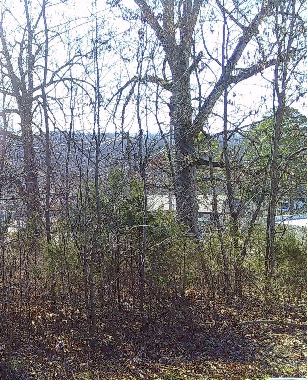 TBD Church Street  Hardy, AR