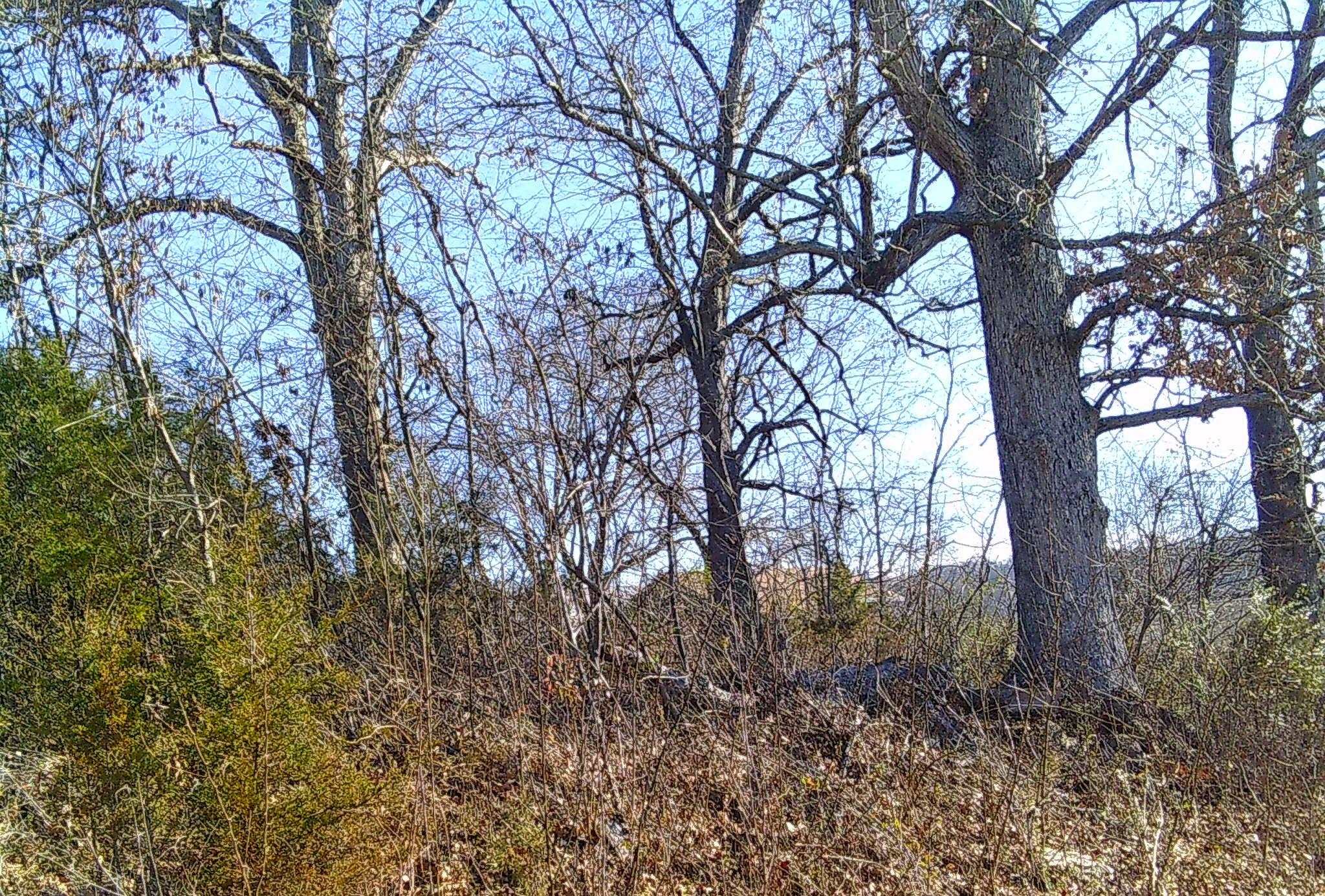 TBD Church Street  Hardy, AR