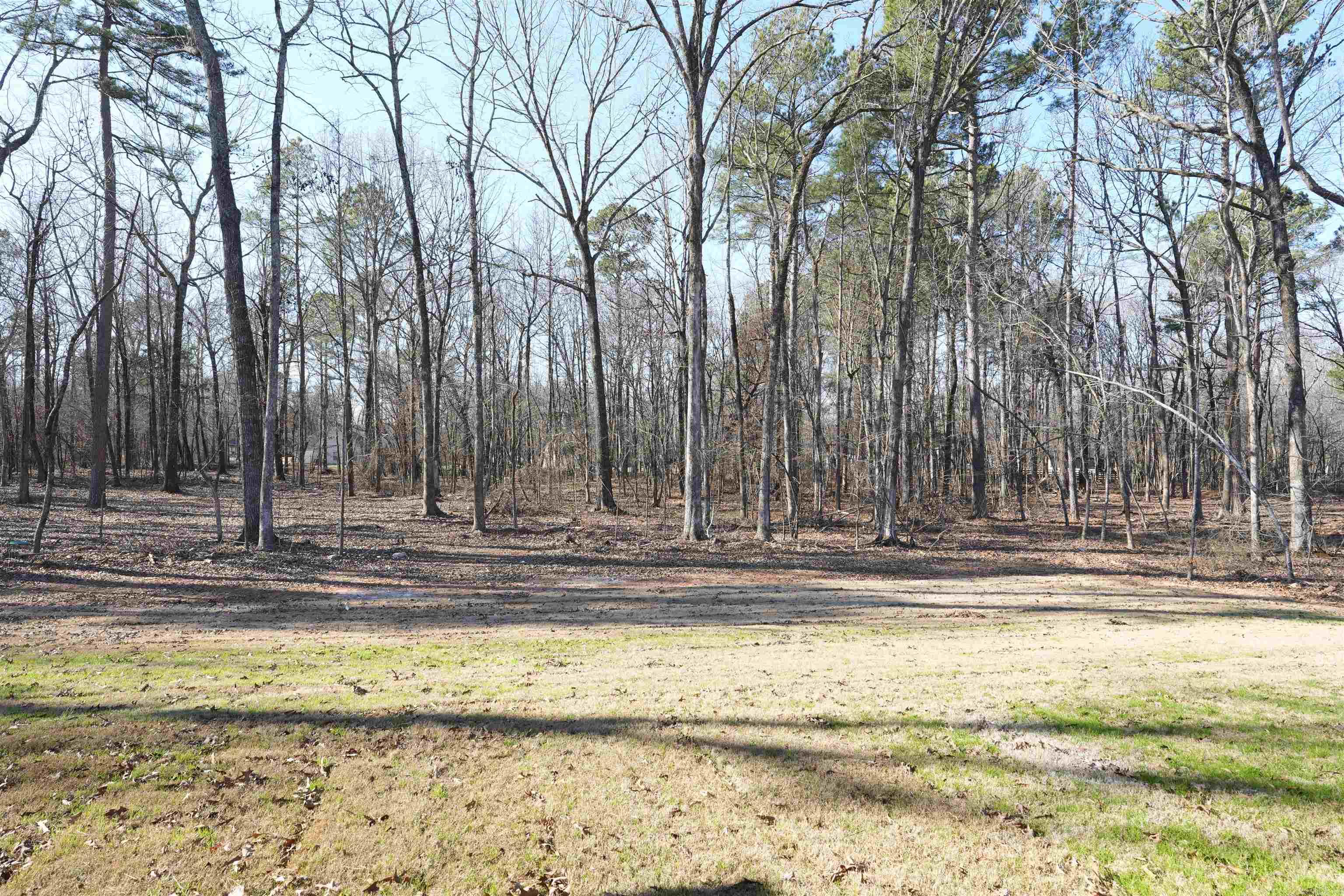 3084 Avilla Manor  Alexander, AR