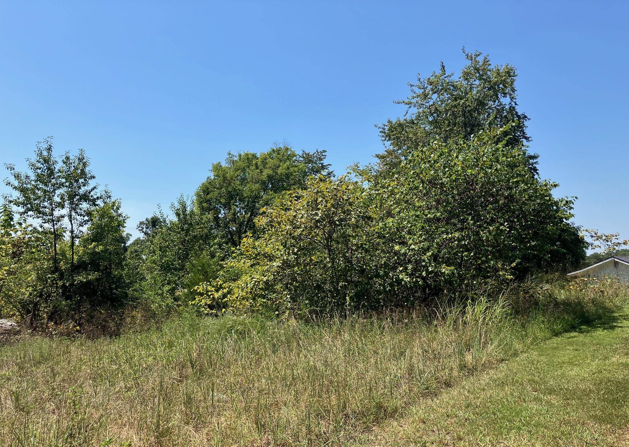 1942 Hwy 63 E  Hardy, AR