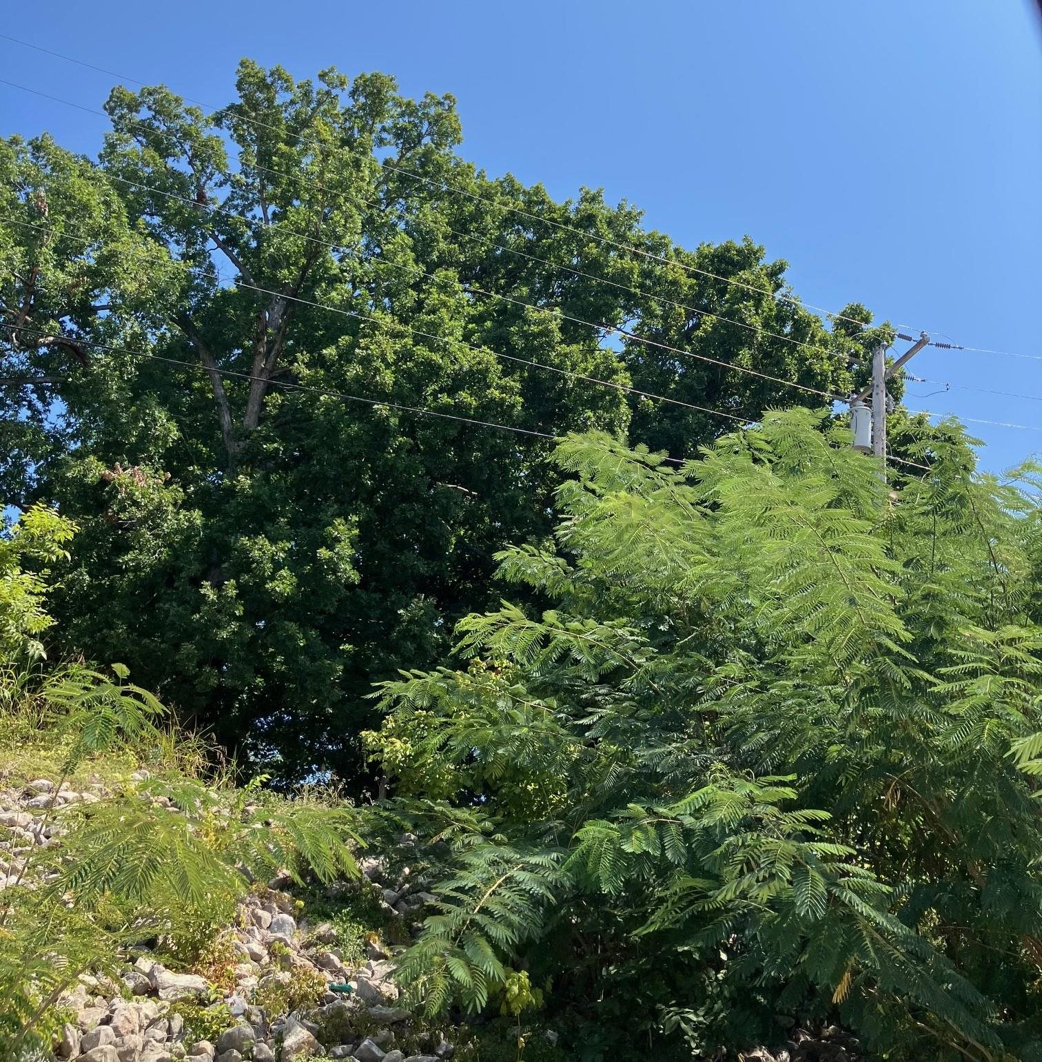 1942 Hwy 63 E  Hardy, AR