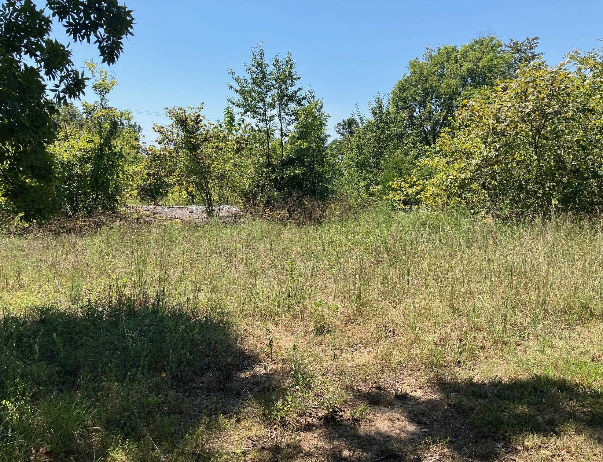 1942 Hwy 63 E  Hardy, AR