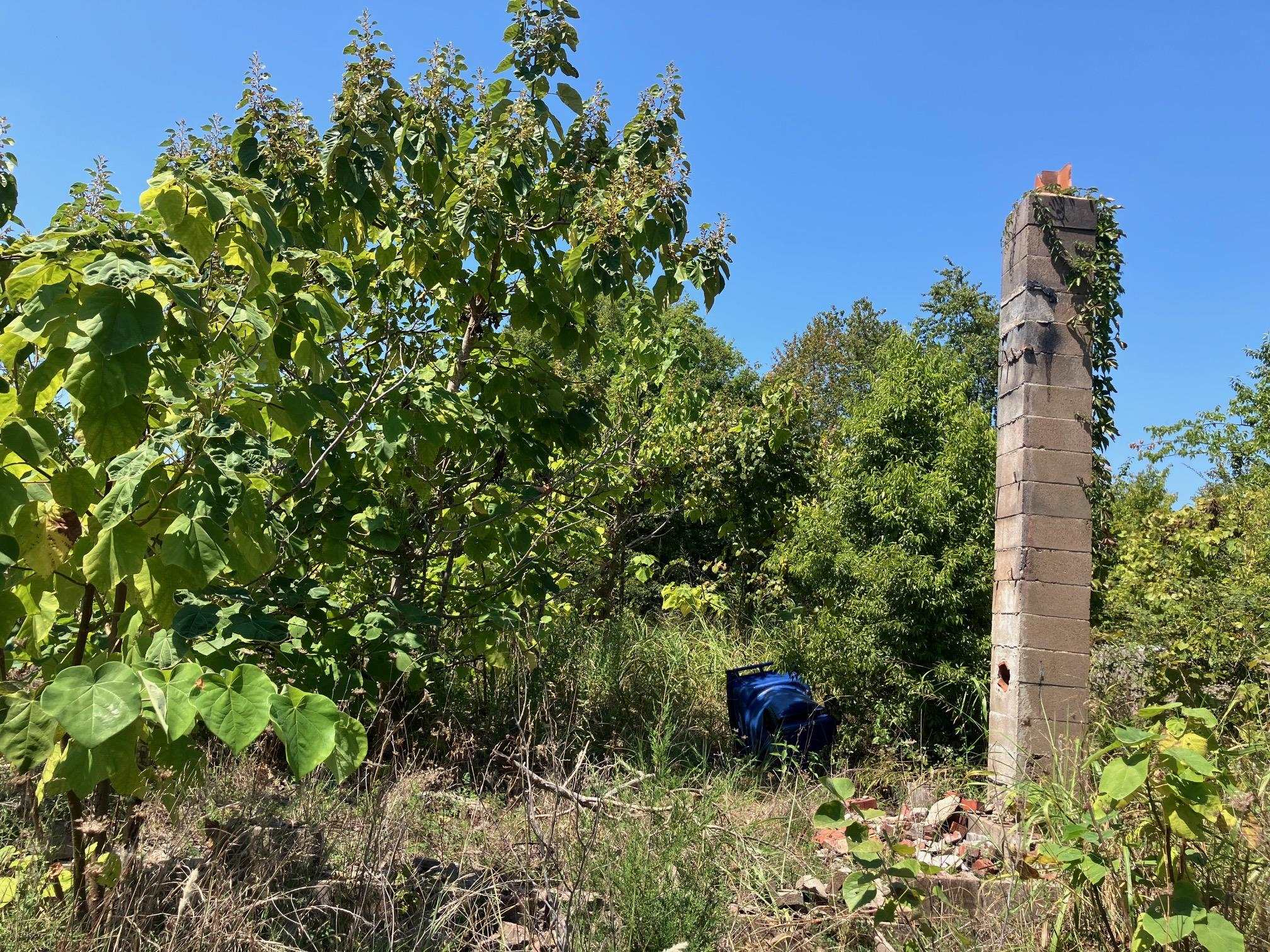 1942 Hwy 63 E  Hardy, AR