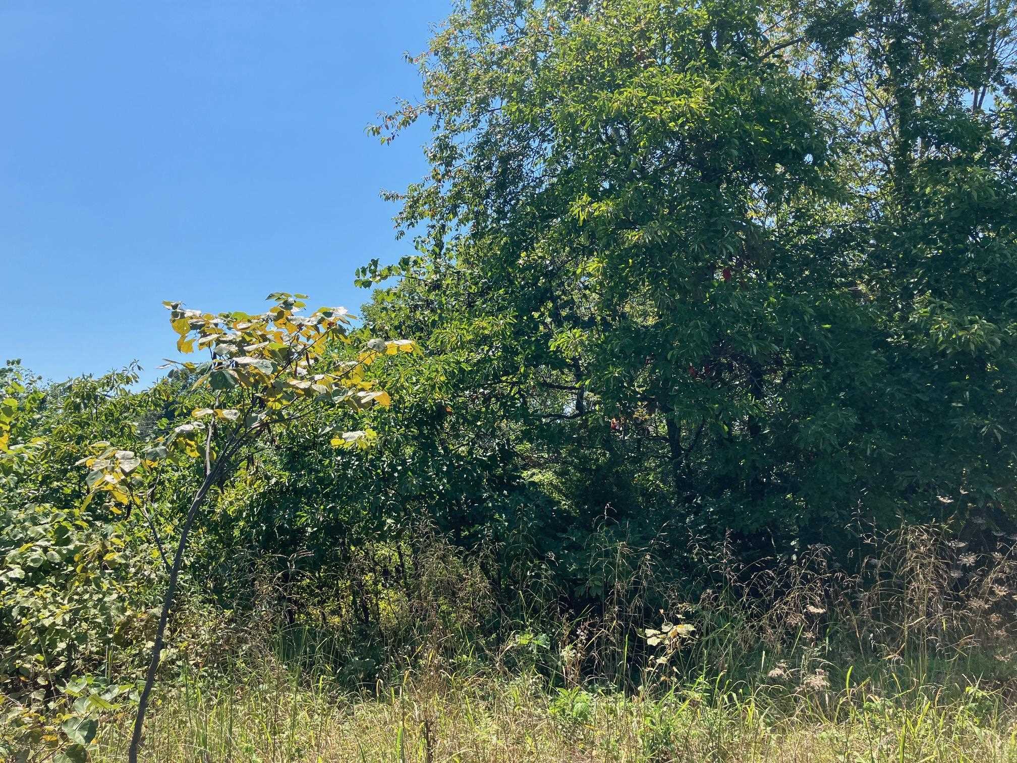 1942 Hwy 63 E  Hardy, AR