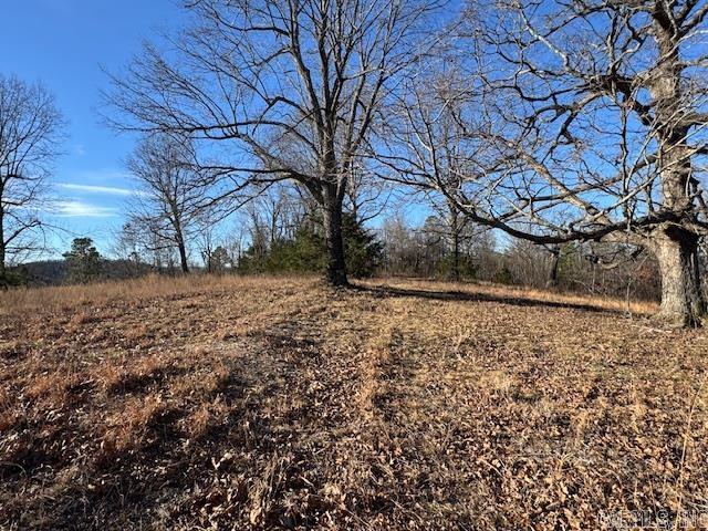 5705 Push Mountain Road  Norfork, AR