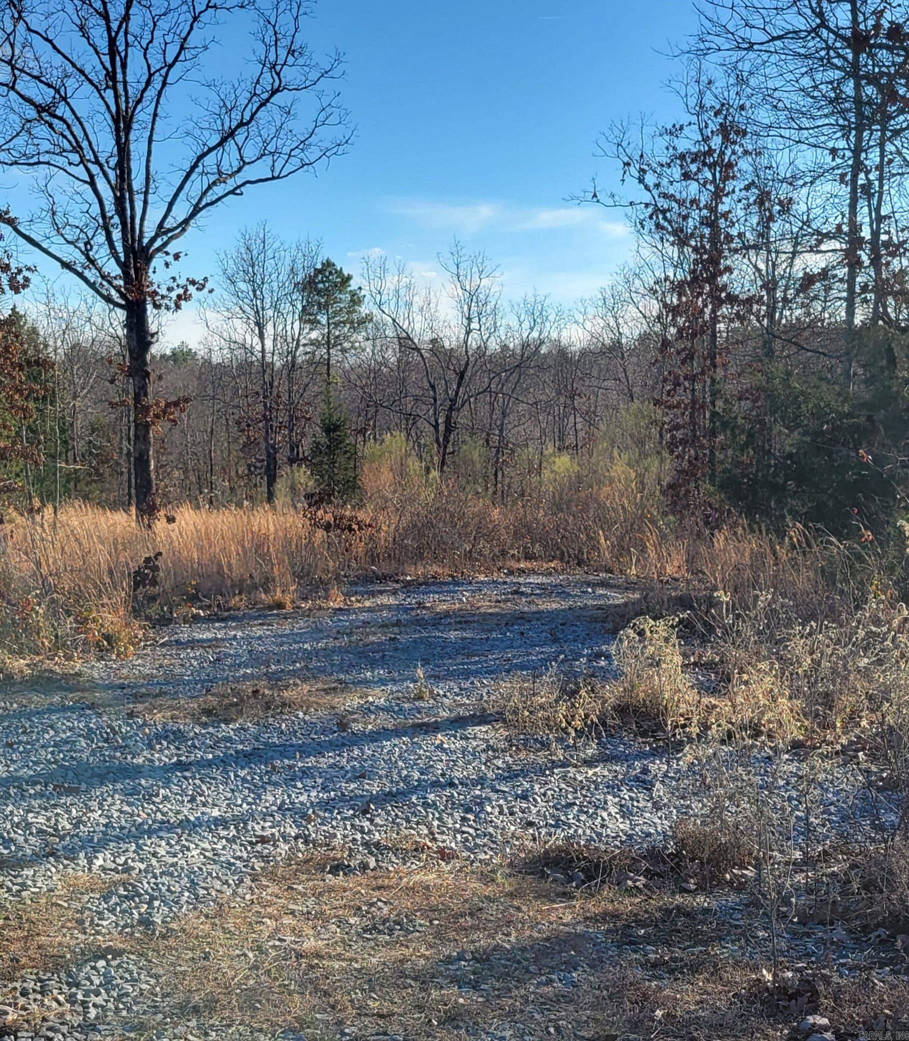 19 Manna Lane  Conway, AR