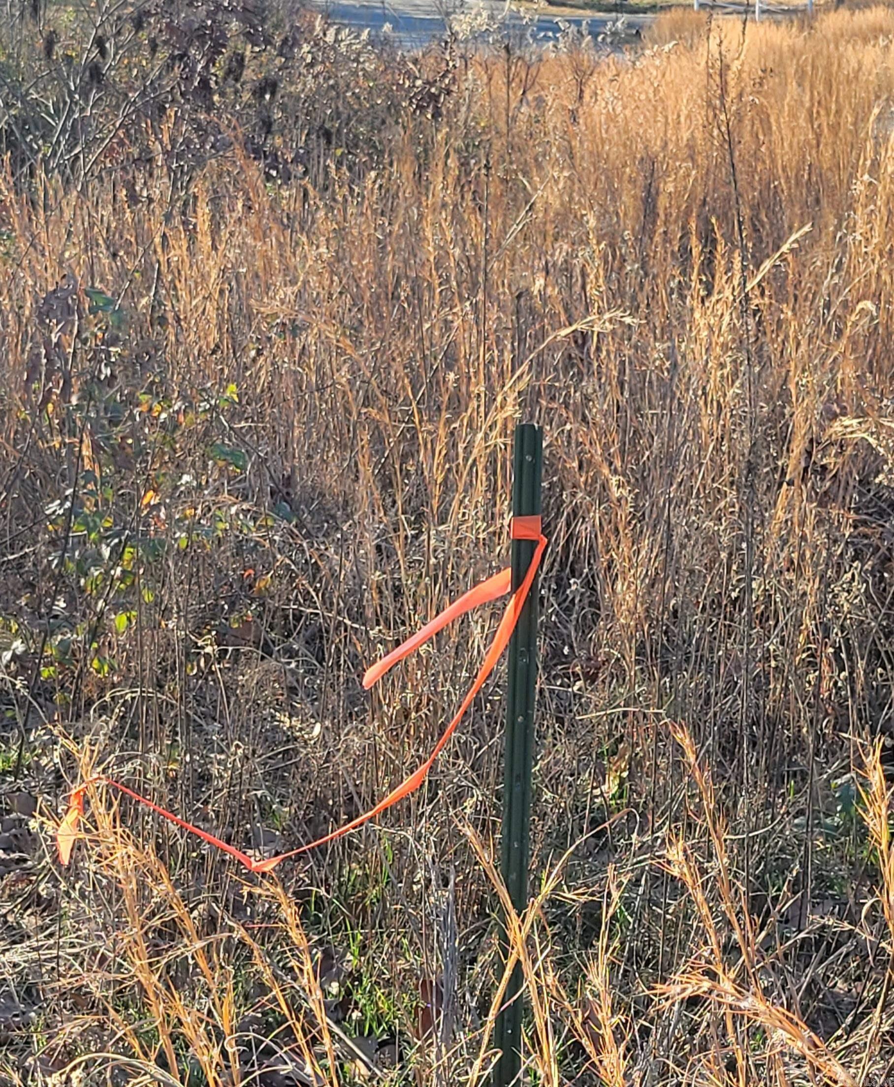 19 Manna Lane  Conway, AR