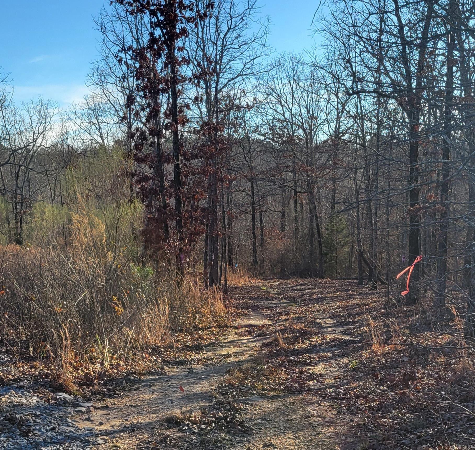 19 Manna Lane  Conway, AR