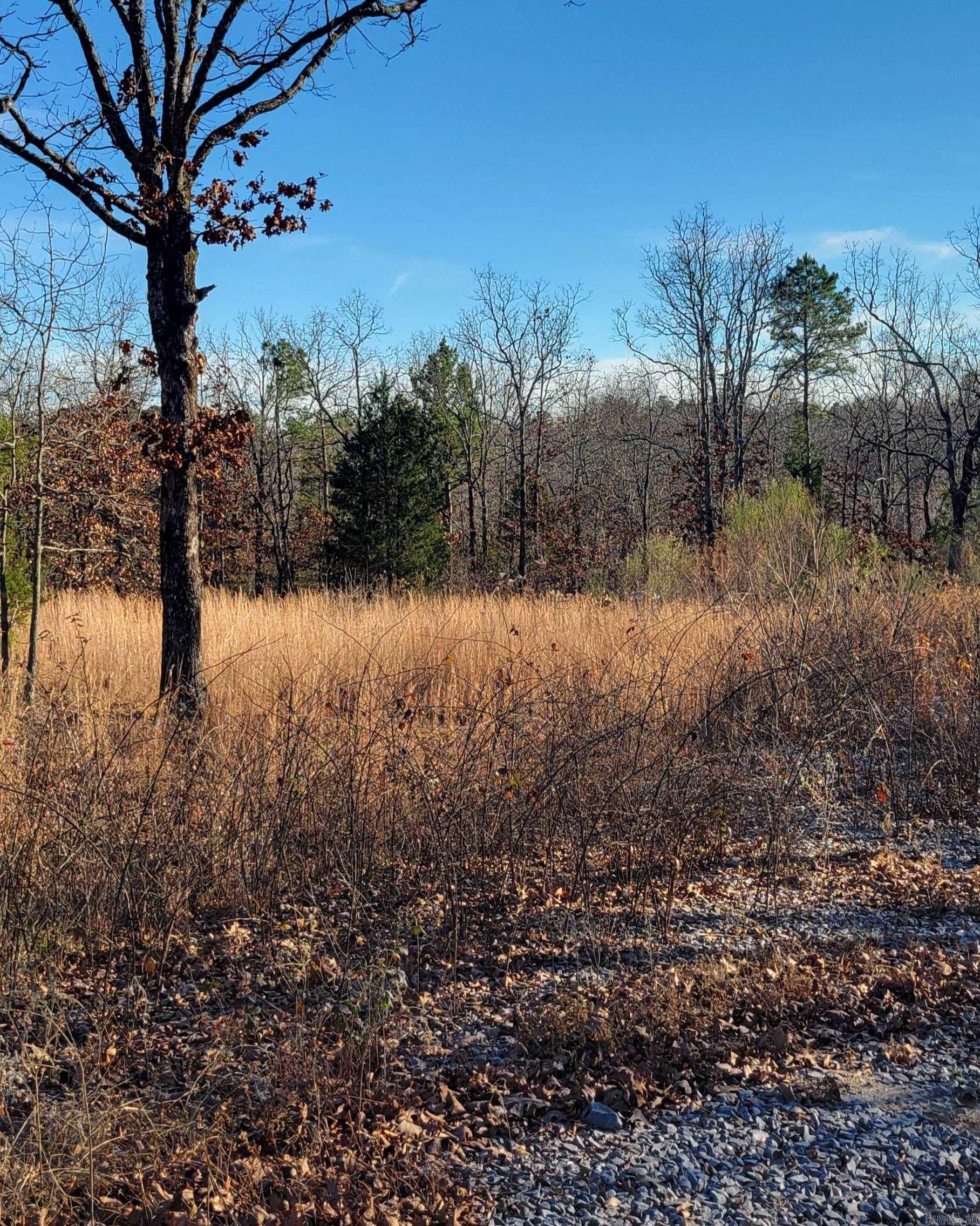 19 Manna Lane  Conway, AR