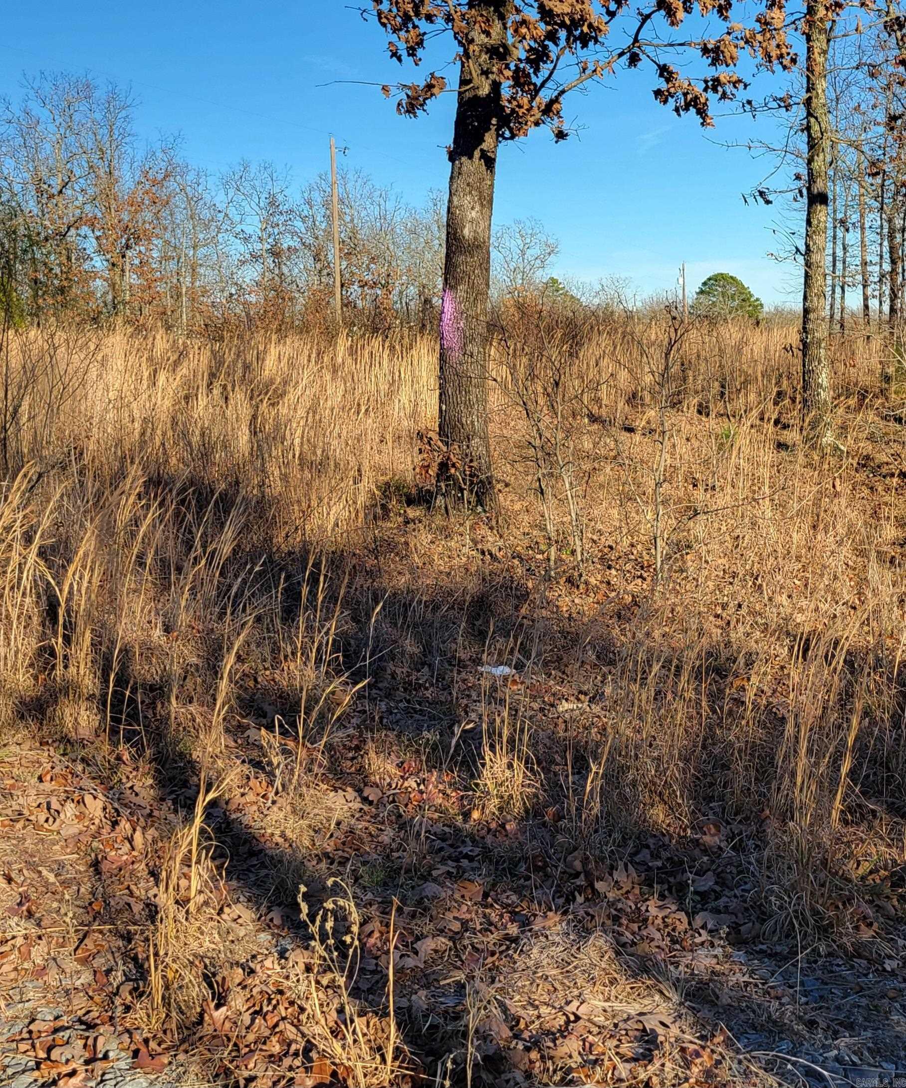 19 Manna Lane  Conway, AR