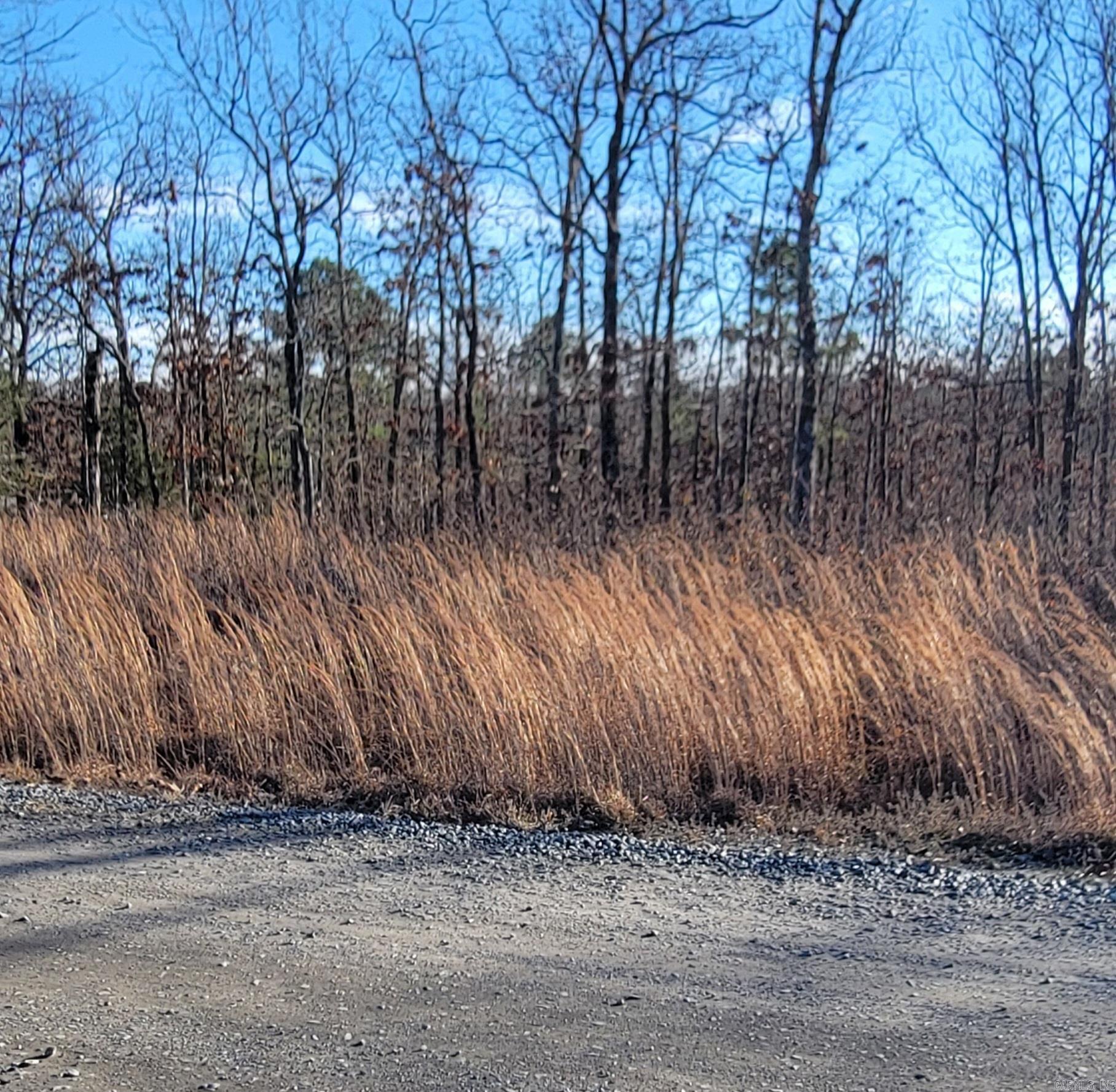 19 Manna Lane  Conway, AR