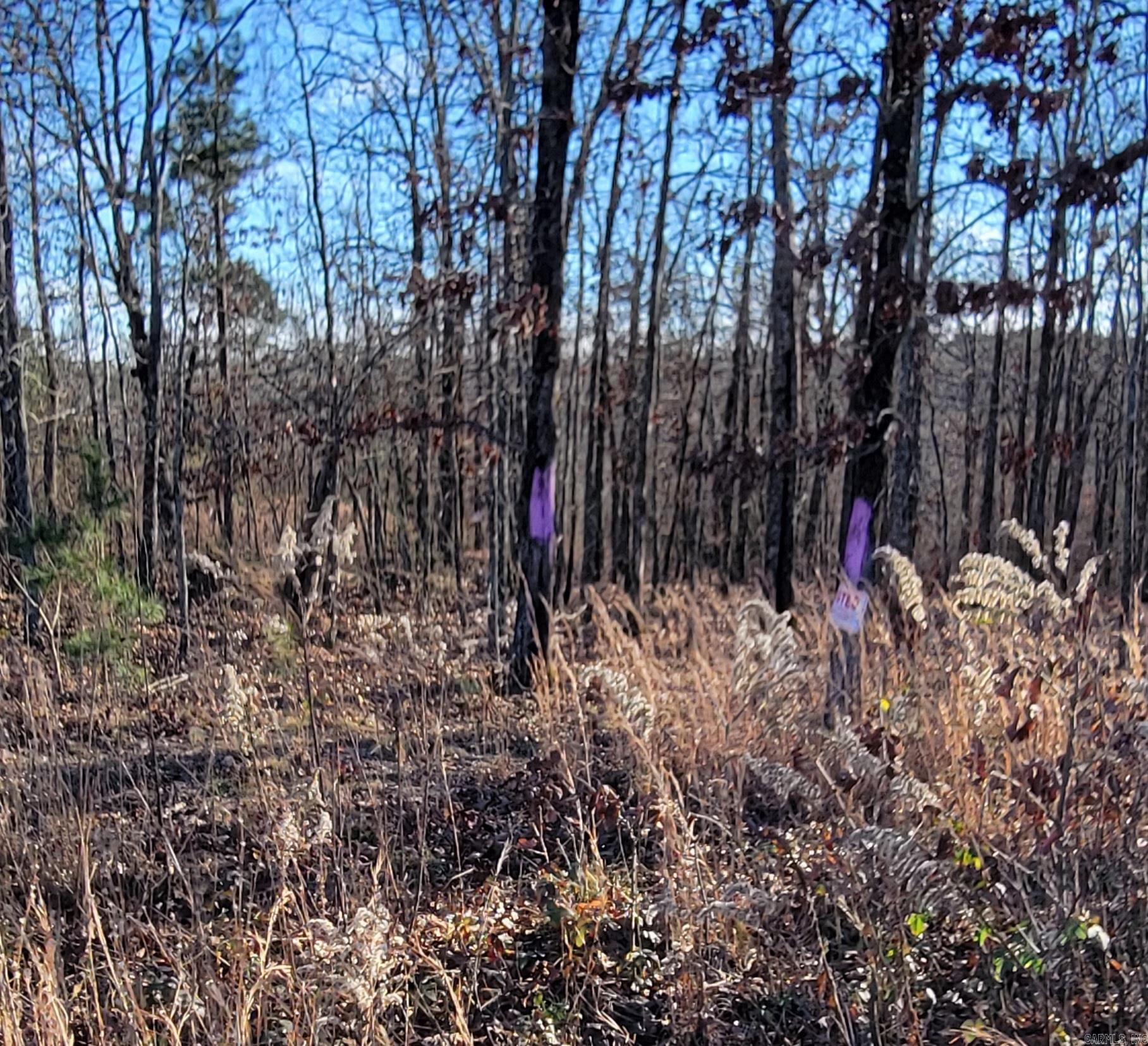 19 Manna Lane  Conway, AR