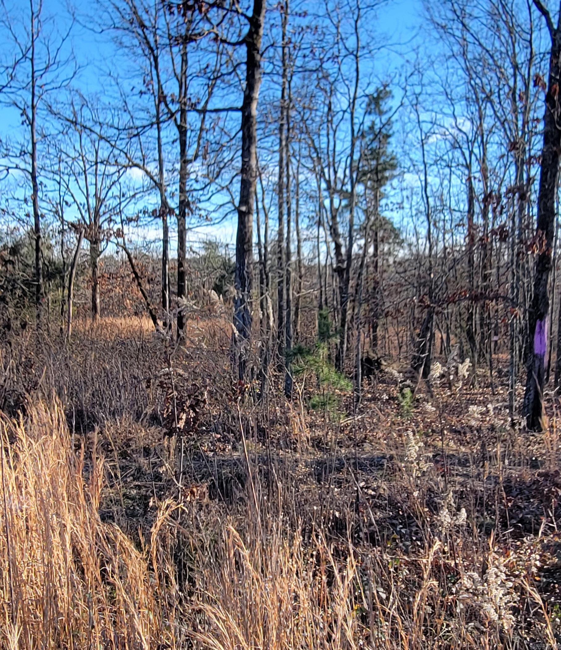 19 Manna Lane  Conway, AR