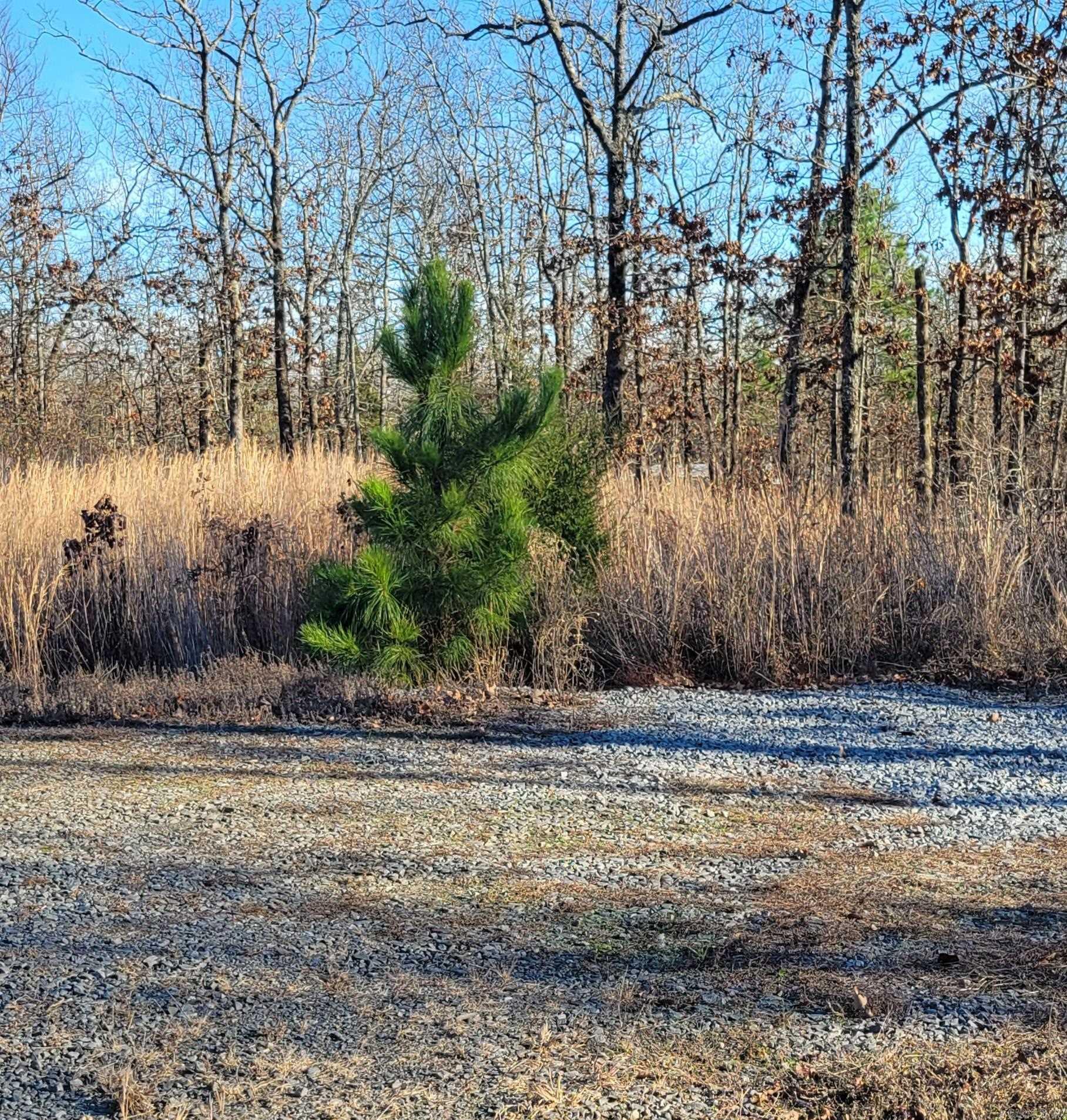 19 Manna Lane  Conway, AR