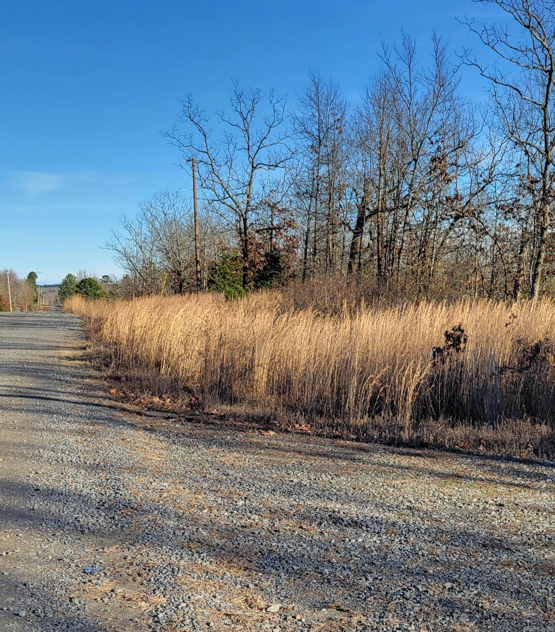 19 Manna Lane  Conway, AR