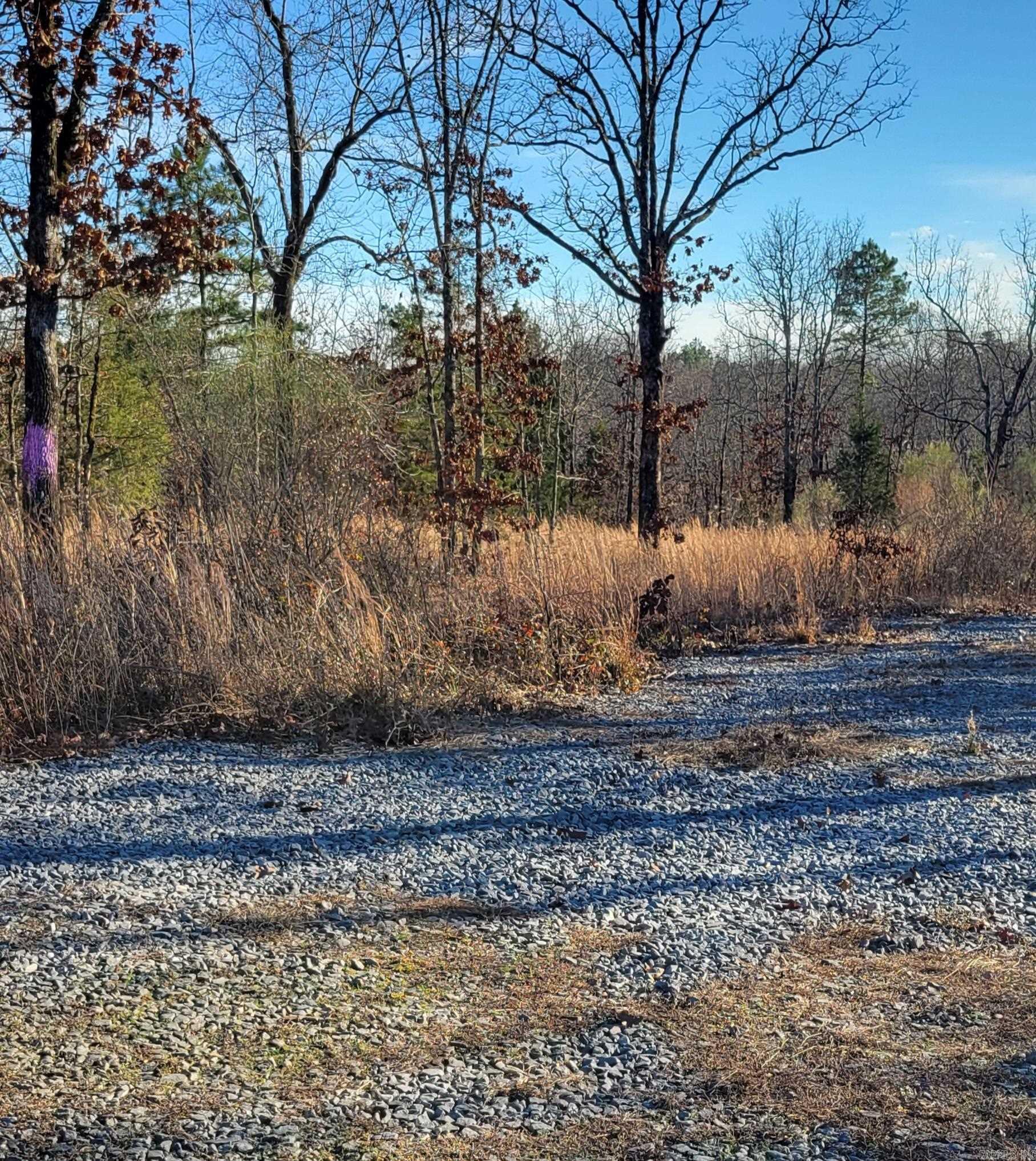 19 Manna Lane  Conway, AR