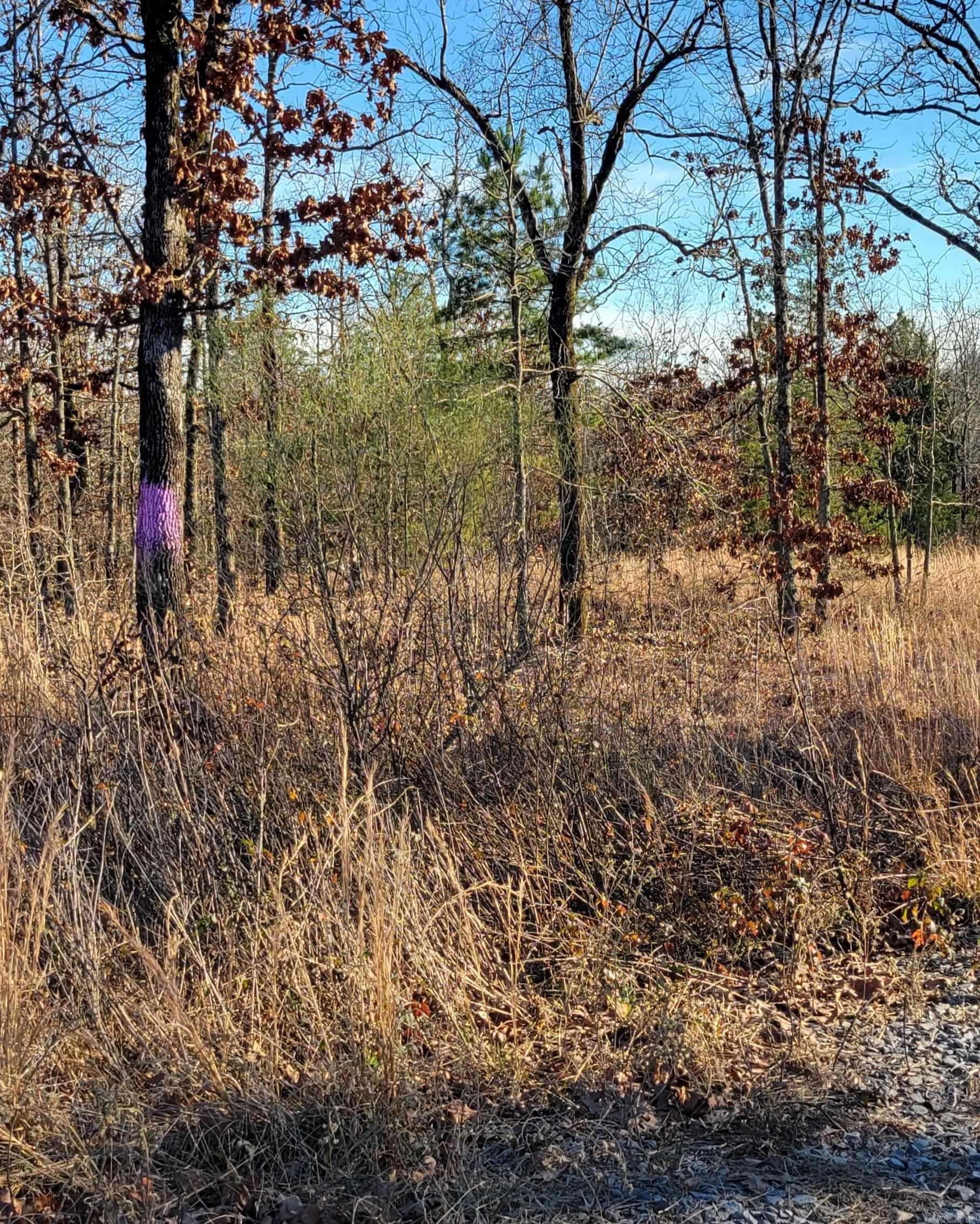 19 Manna Lane  Conway, AR