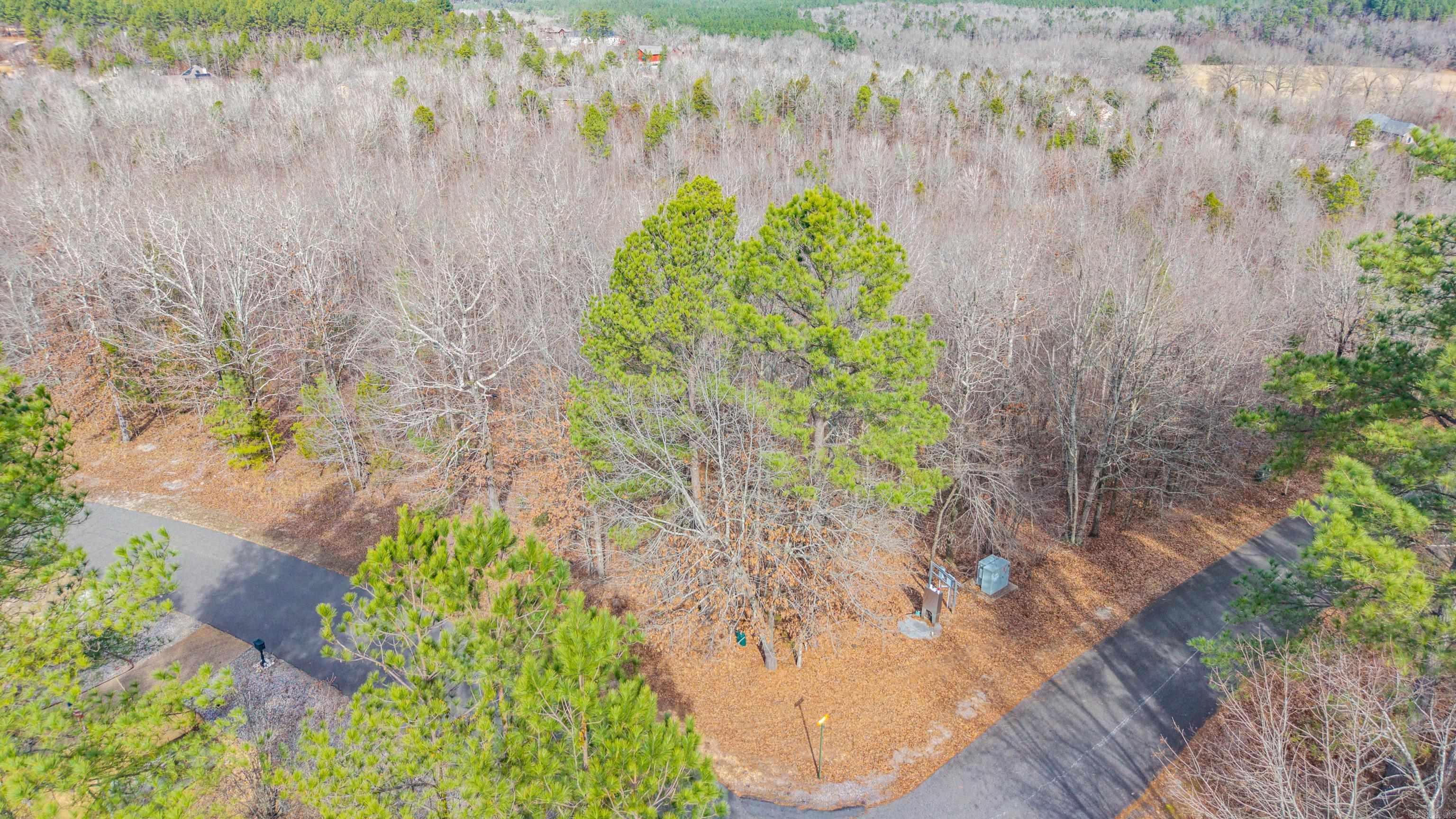 105 Alteza  Hot Springs Village, AR