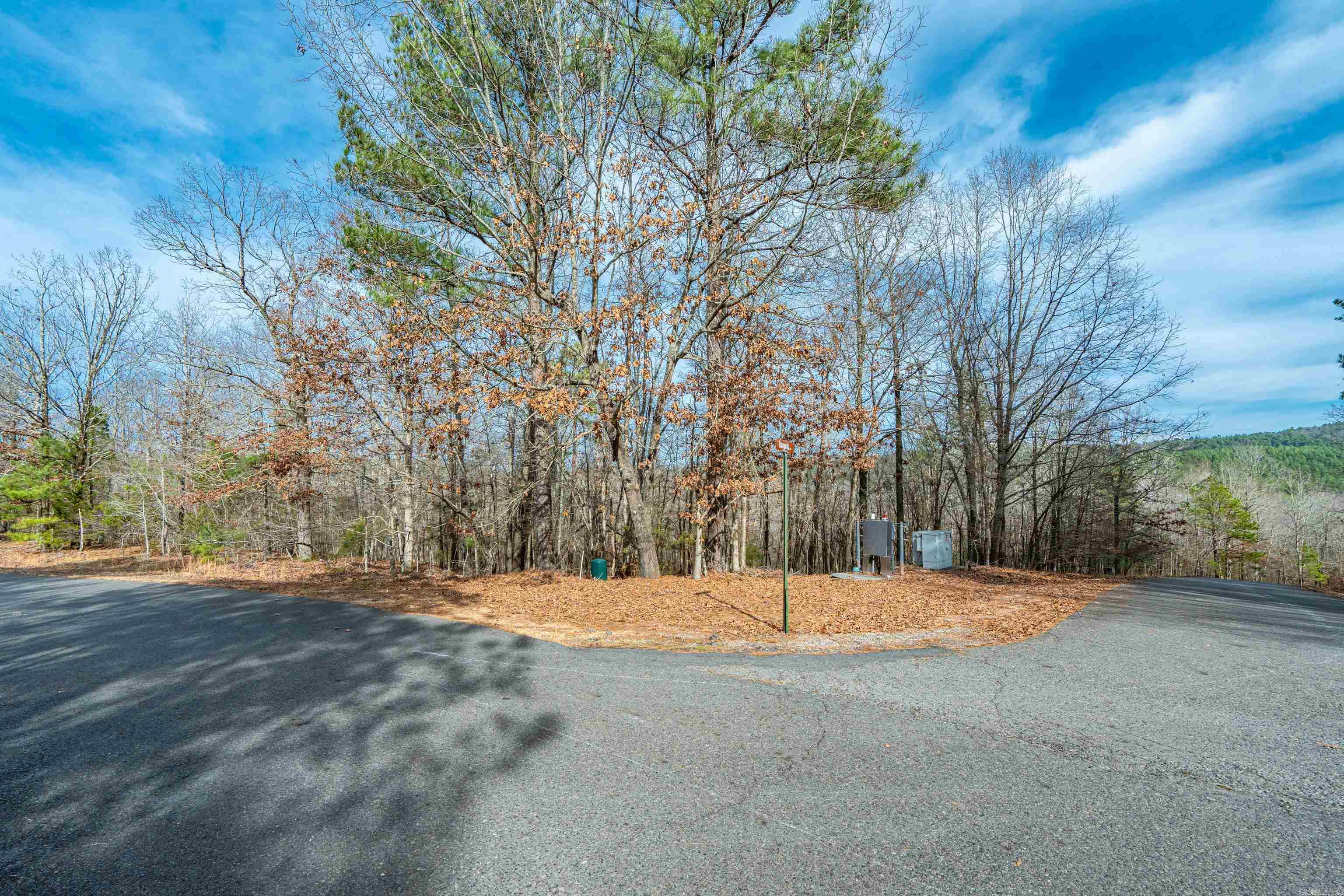 105 Alteza  Hot Springs Village, AR