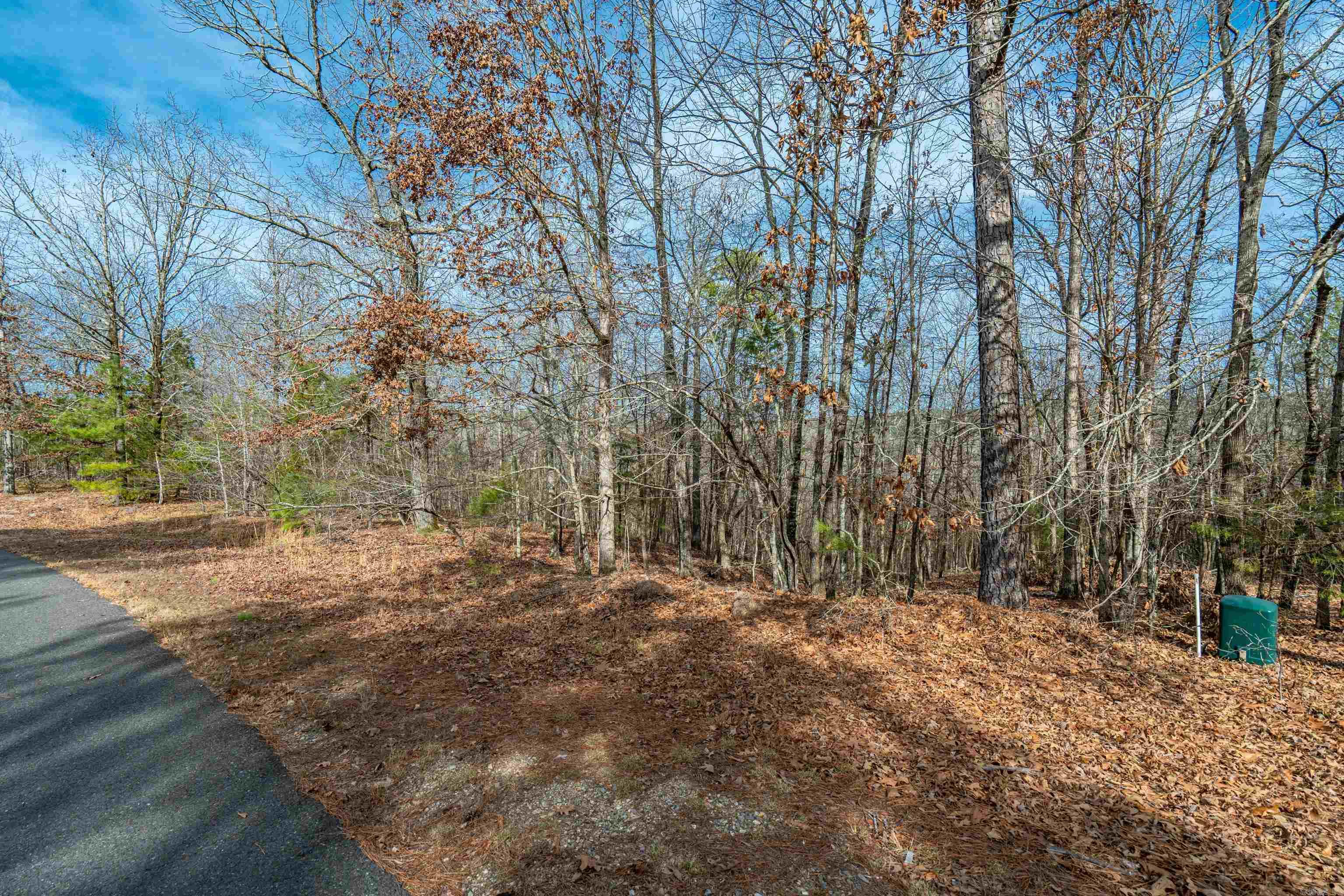 105 Alteza  Hot Springs Village, AR