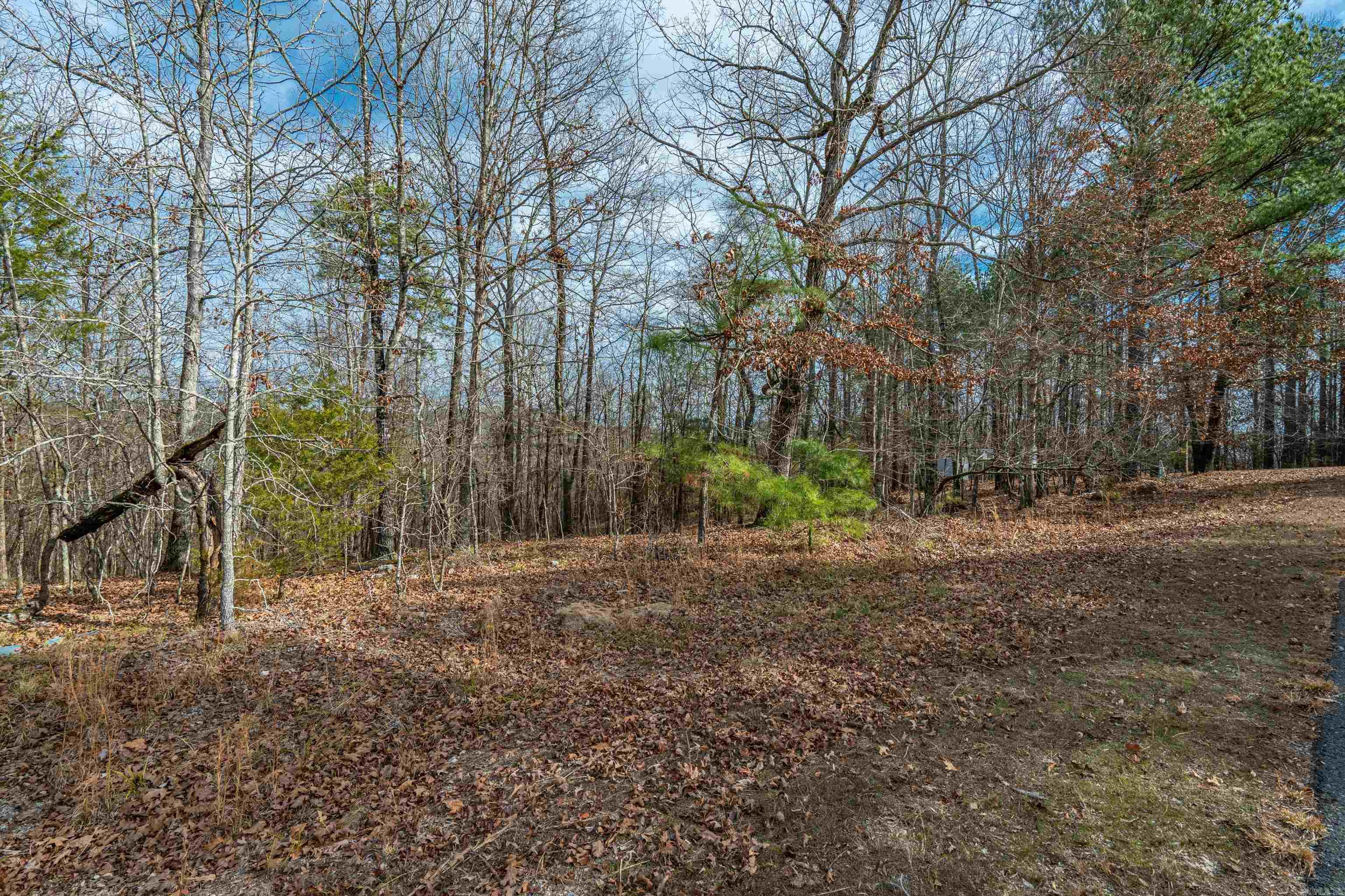 105 Alteza  Hot Springs Village, AR