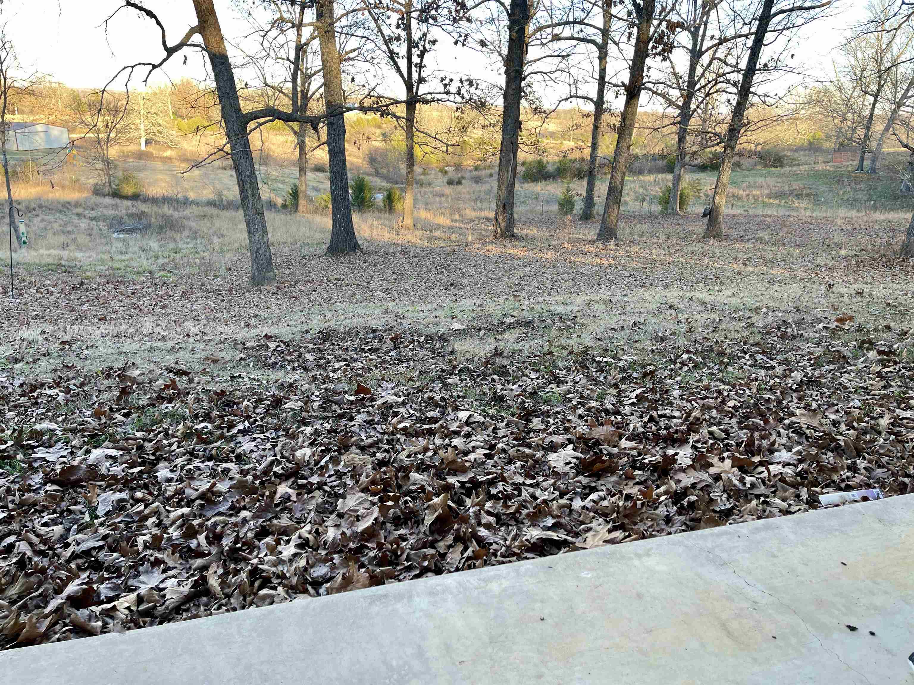 6135 Heart  Glencoe, AR