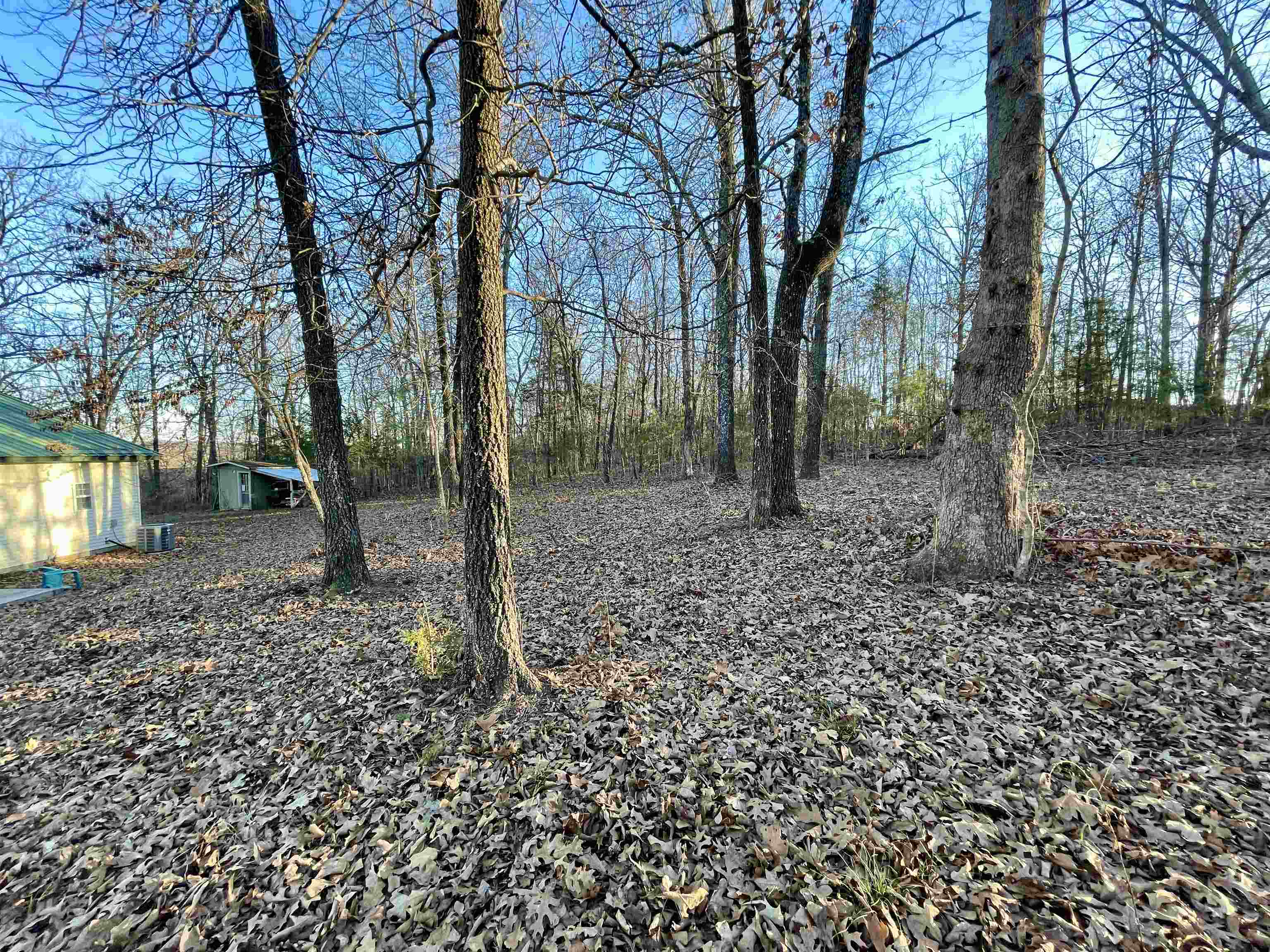 6135 Heart  Glencoe, AR