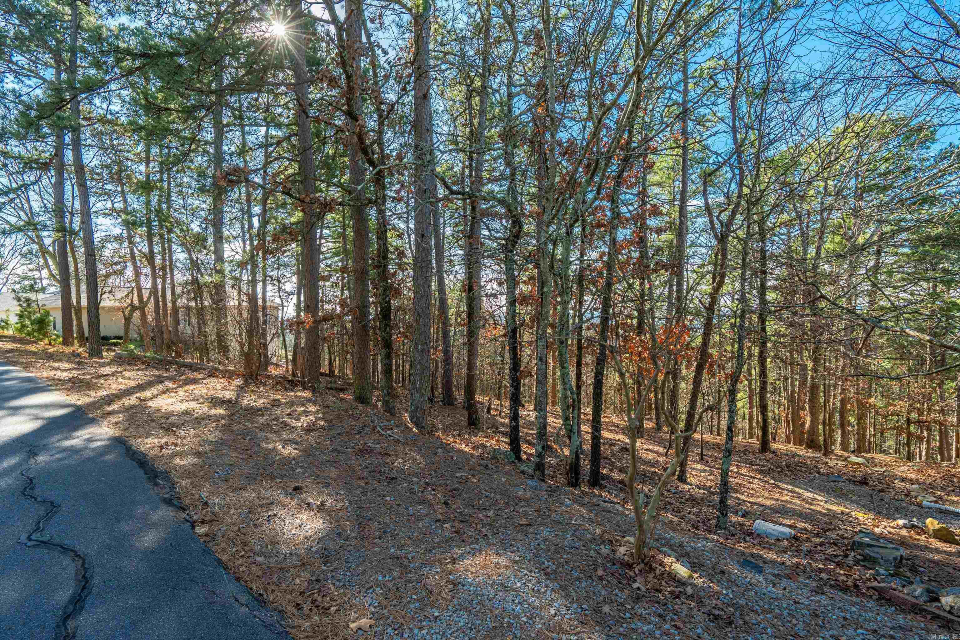 123 Mesero  Hot Springs Village, AR