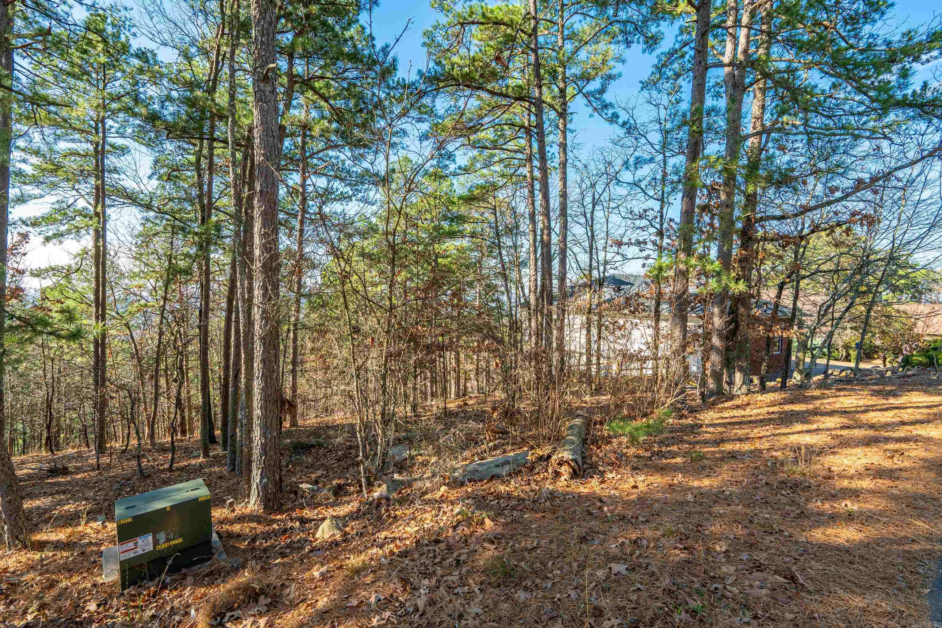 123 Mesero  Hot Springs Village, AR