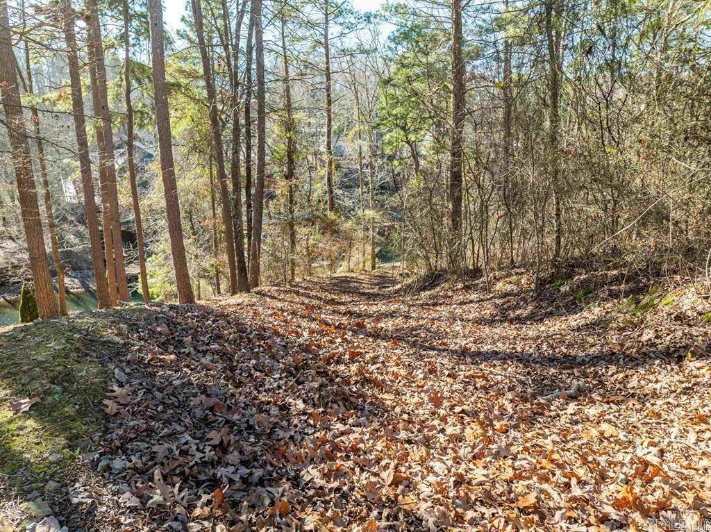 135 Cannon Ridge  Hot Springs, AR