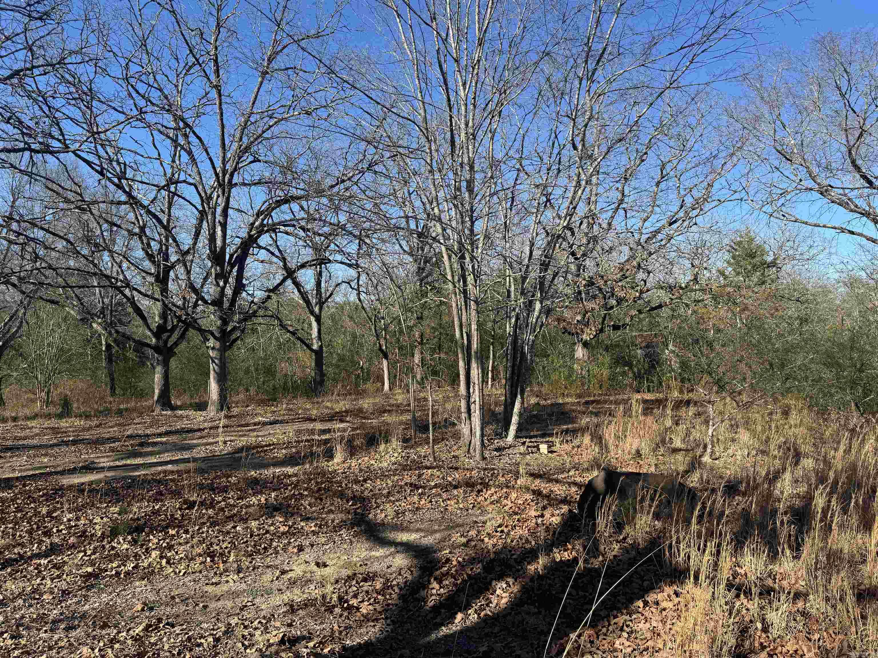 2859 HWY 71 N  Mena, AR