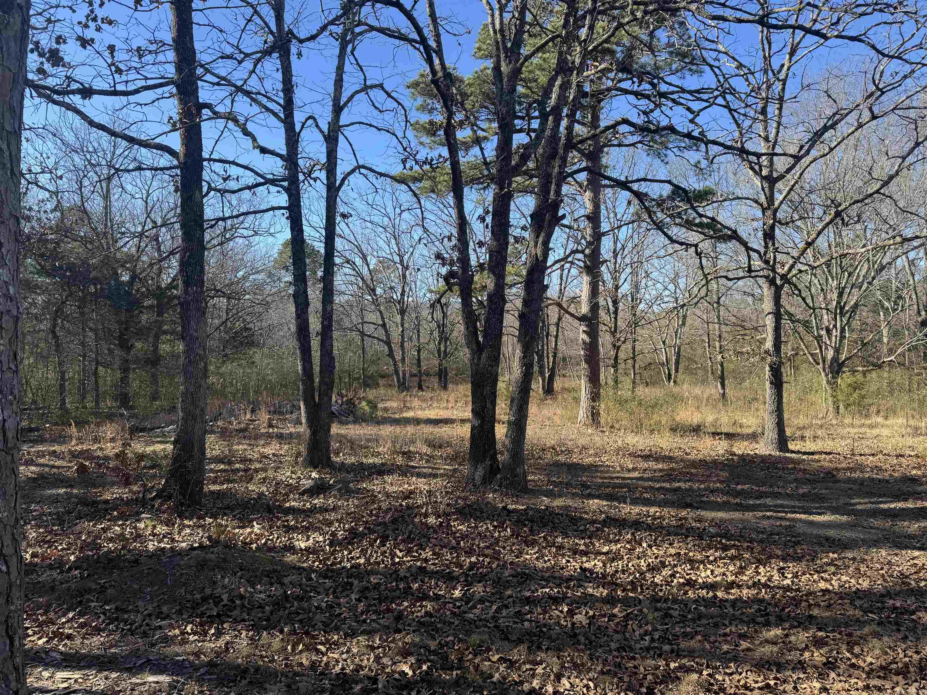 2859 HWY 71 N  Mena, AR