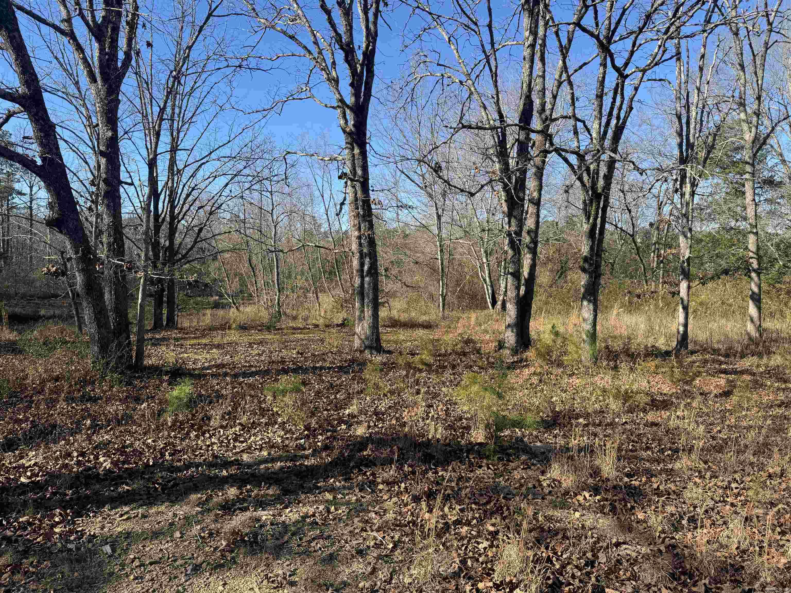 2859 HWY 71 N  Mena, AR