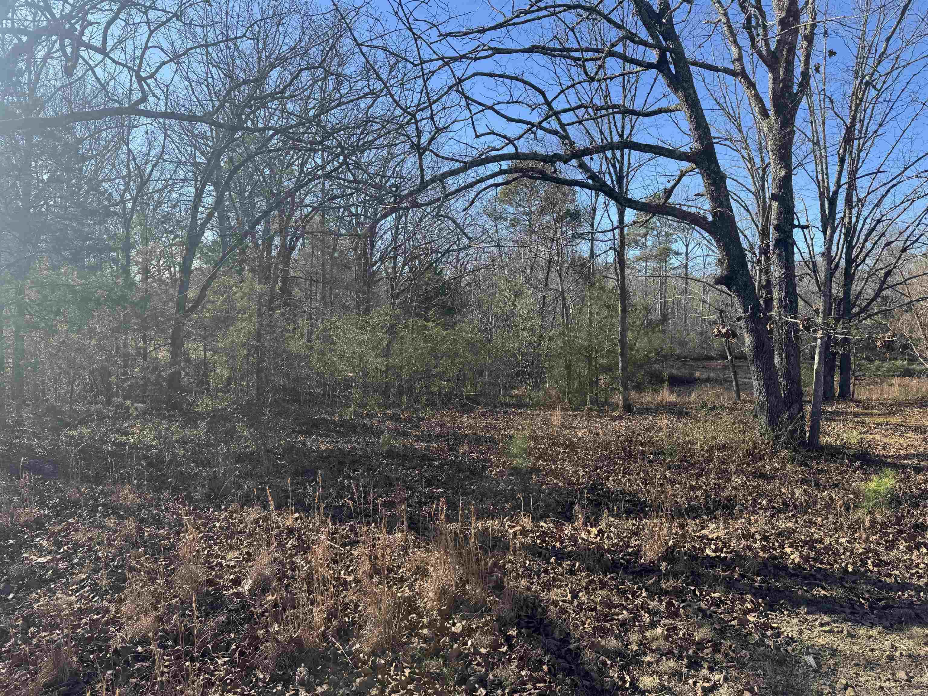 2859 HWY 71 N  Mena, AR