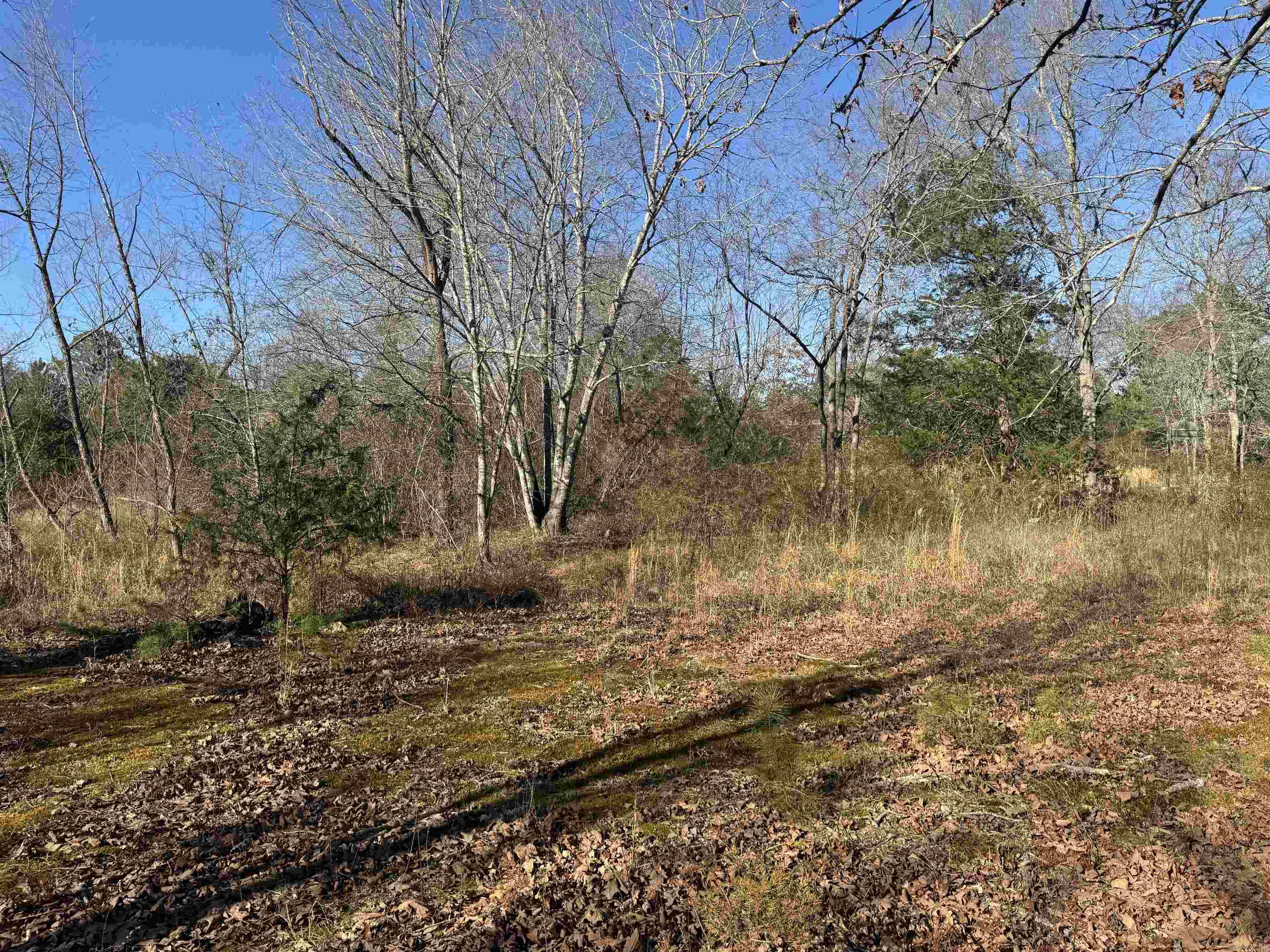 2859 HWY 71 N  Mena, AR