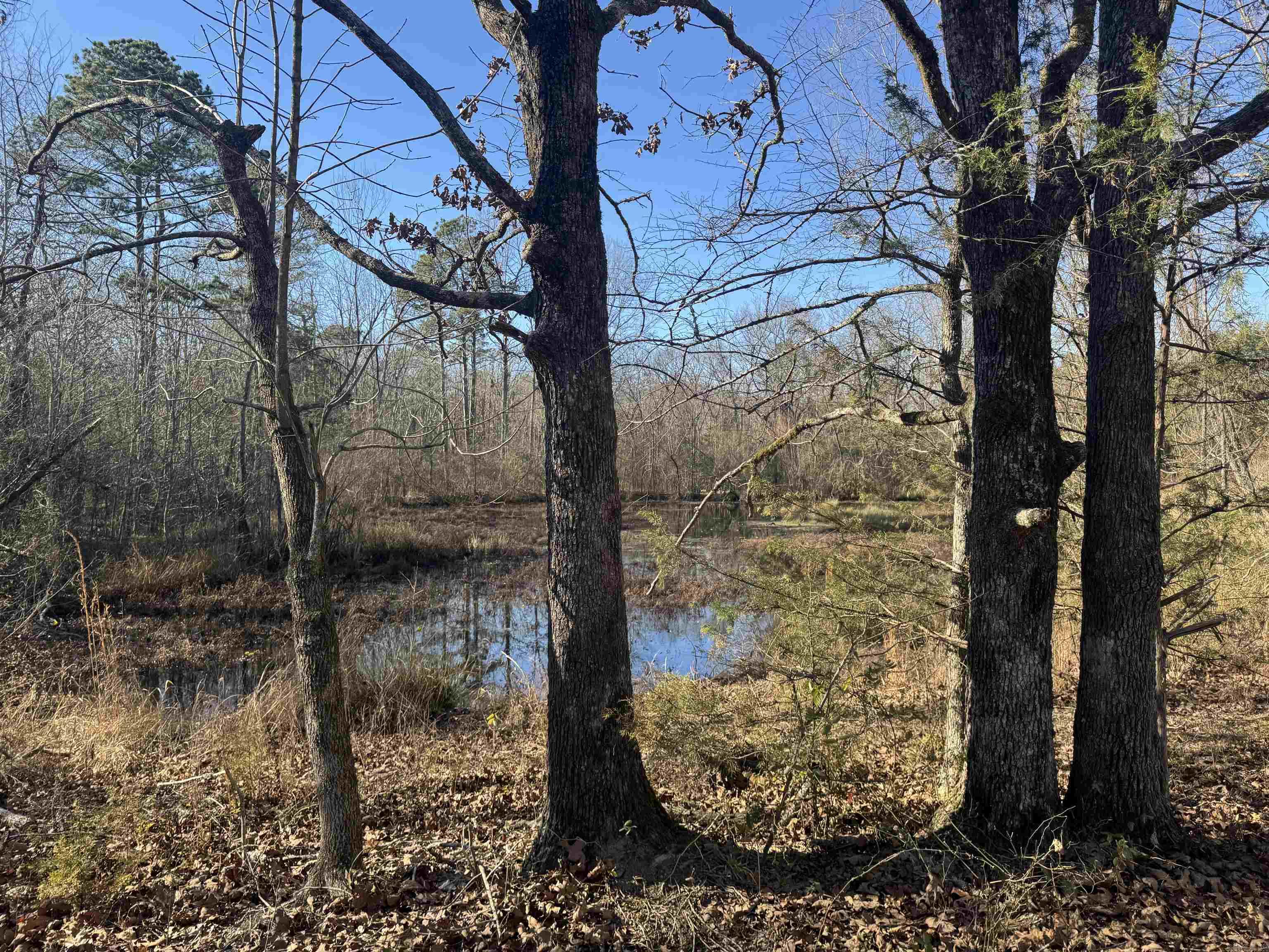 2859 HWY 71 N  Mena, AR