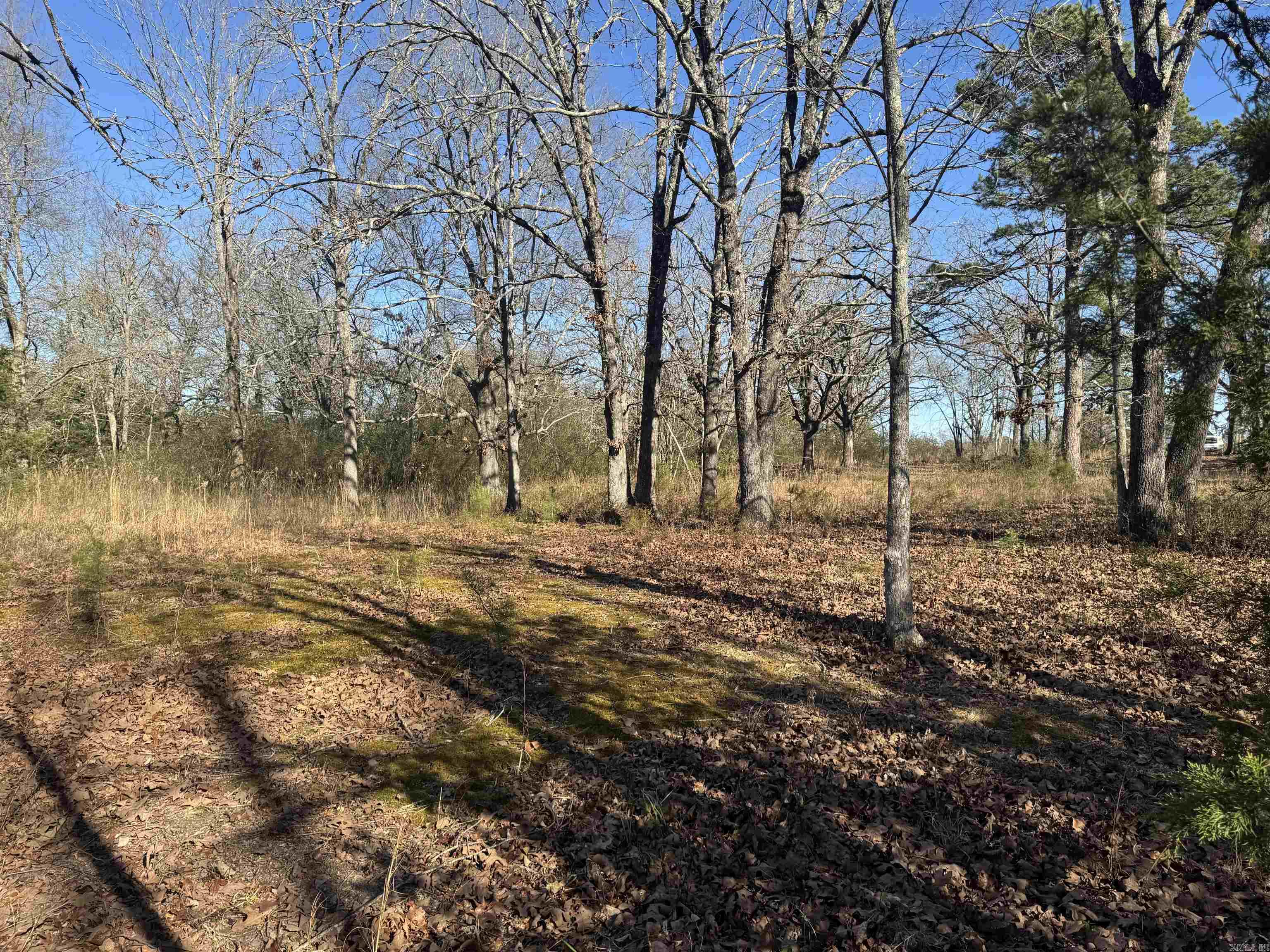 2859 HWY 71 N  Mena, AR