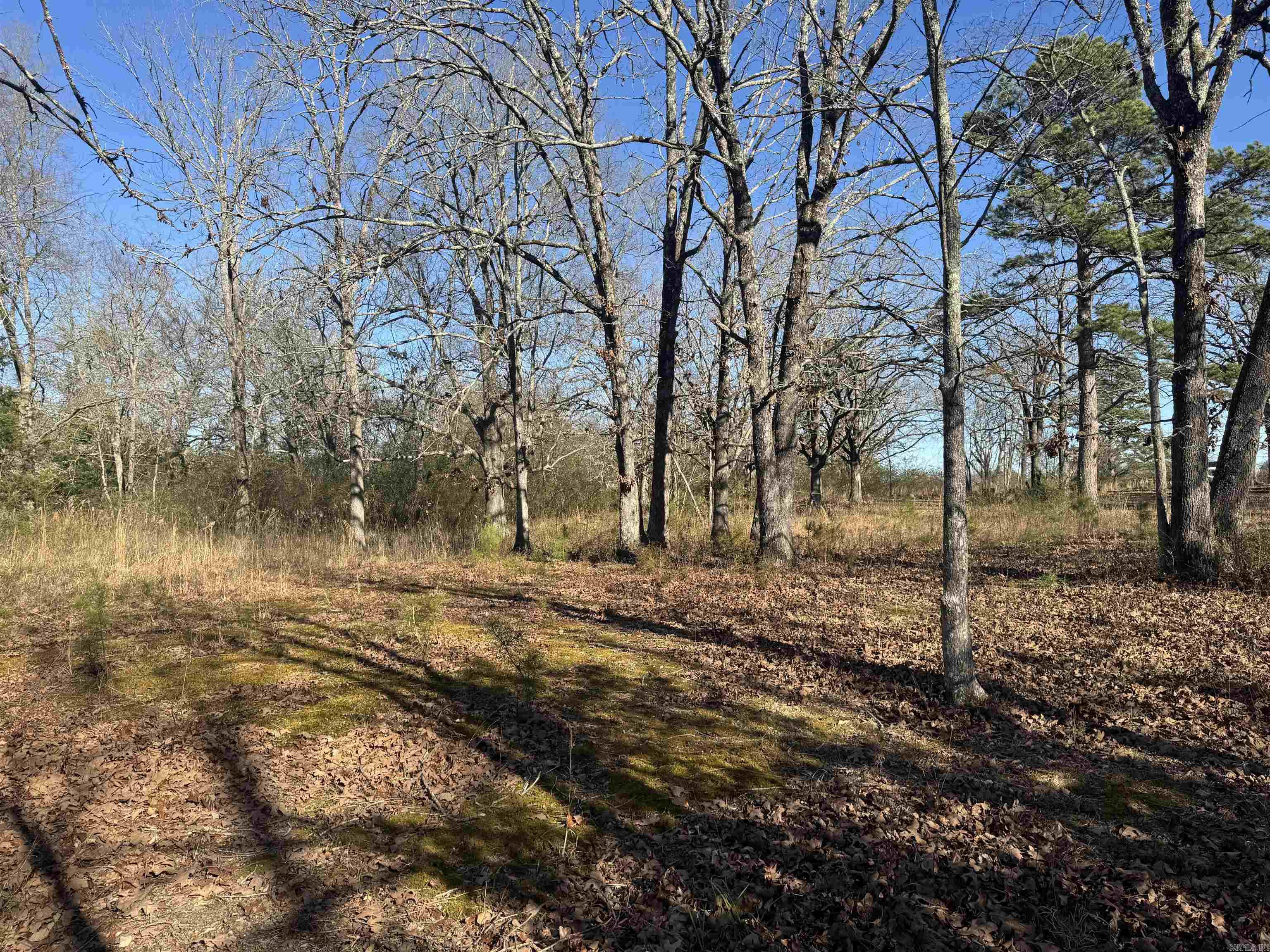 2859 HWY 71 N  Mena, AR