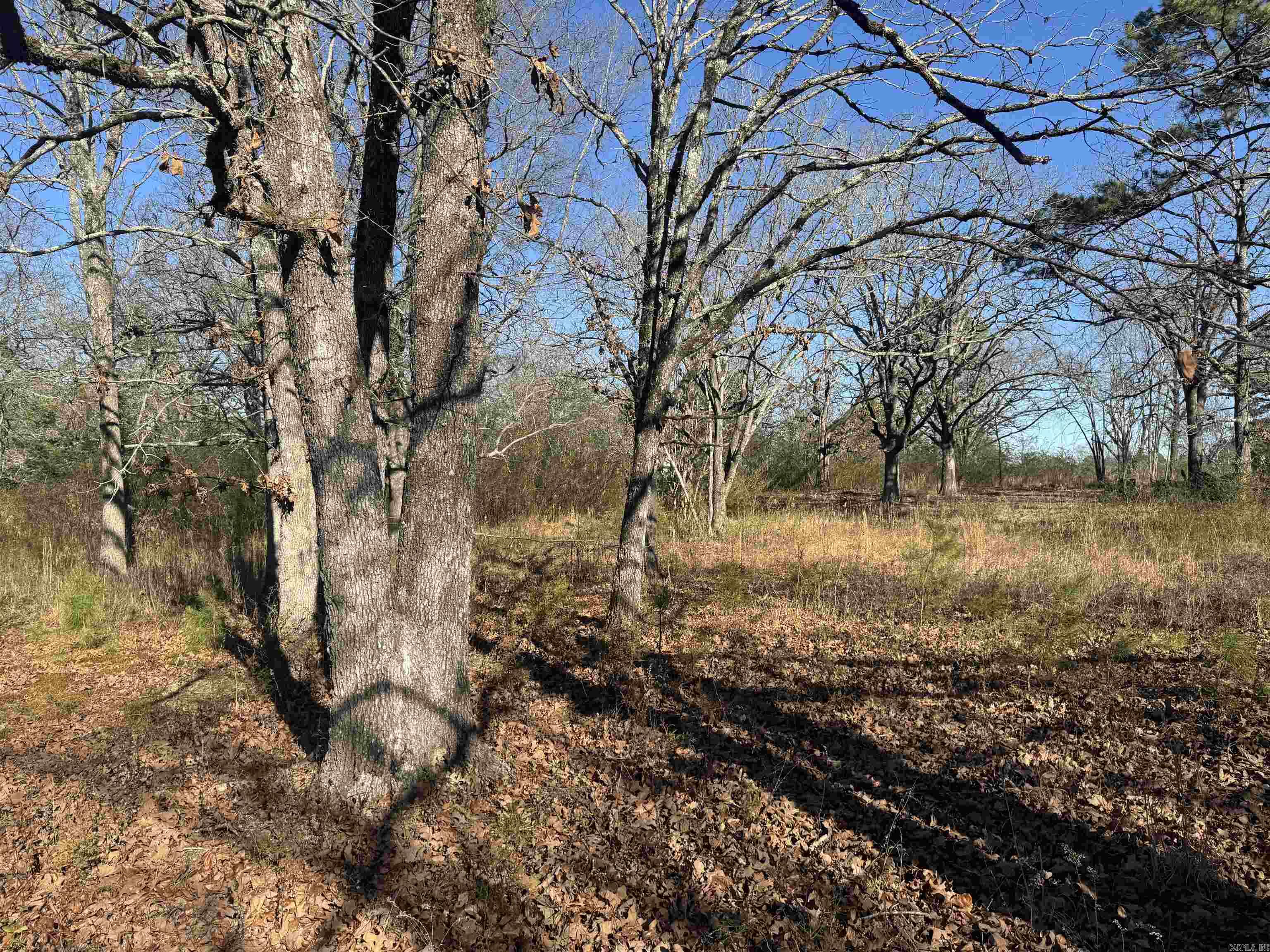 2859 HWY 71 N  Mena, AR