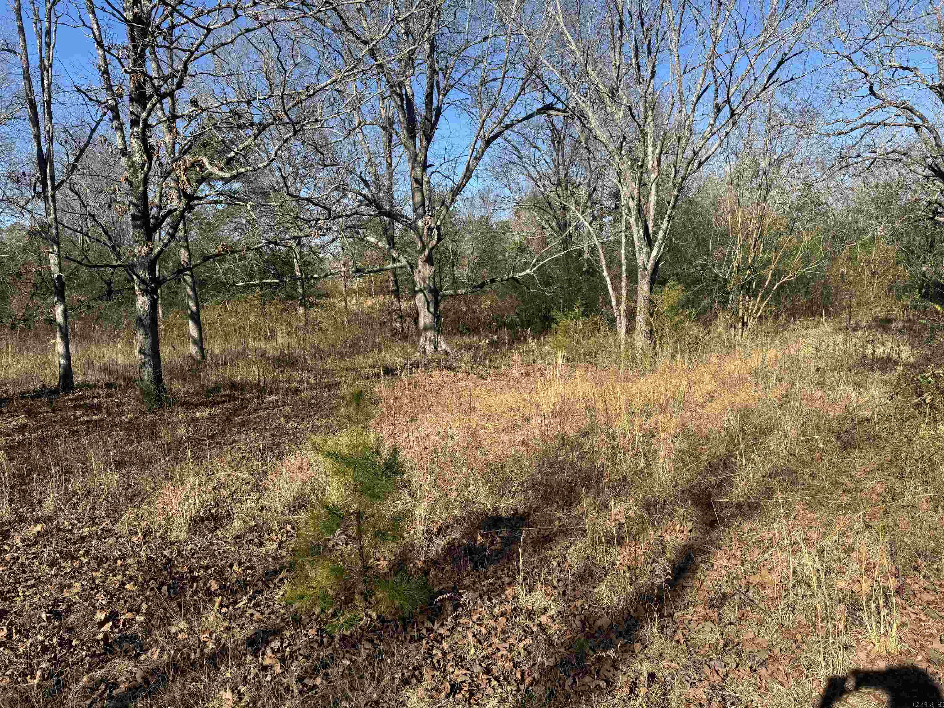 2859 HWY 71 N  Mena, AR