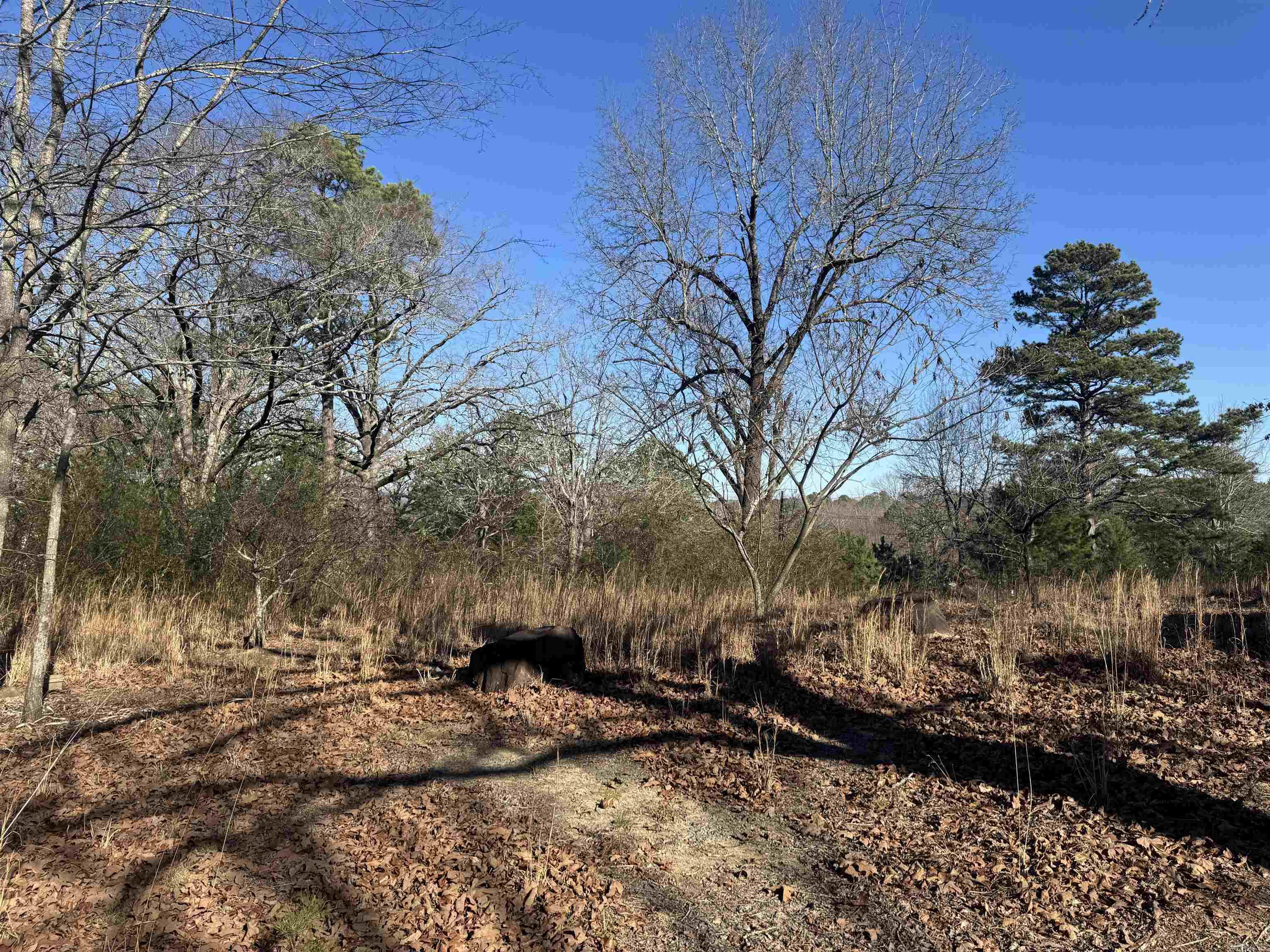 2859 HWY 71 N  Mena, AR