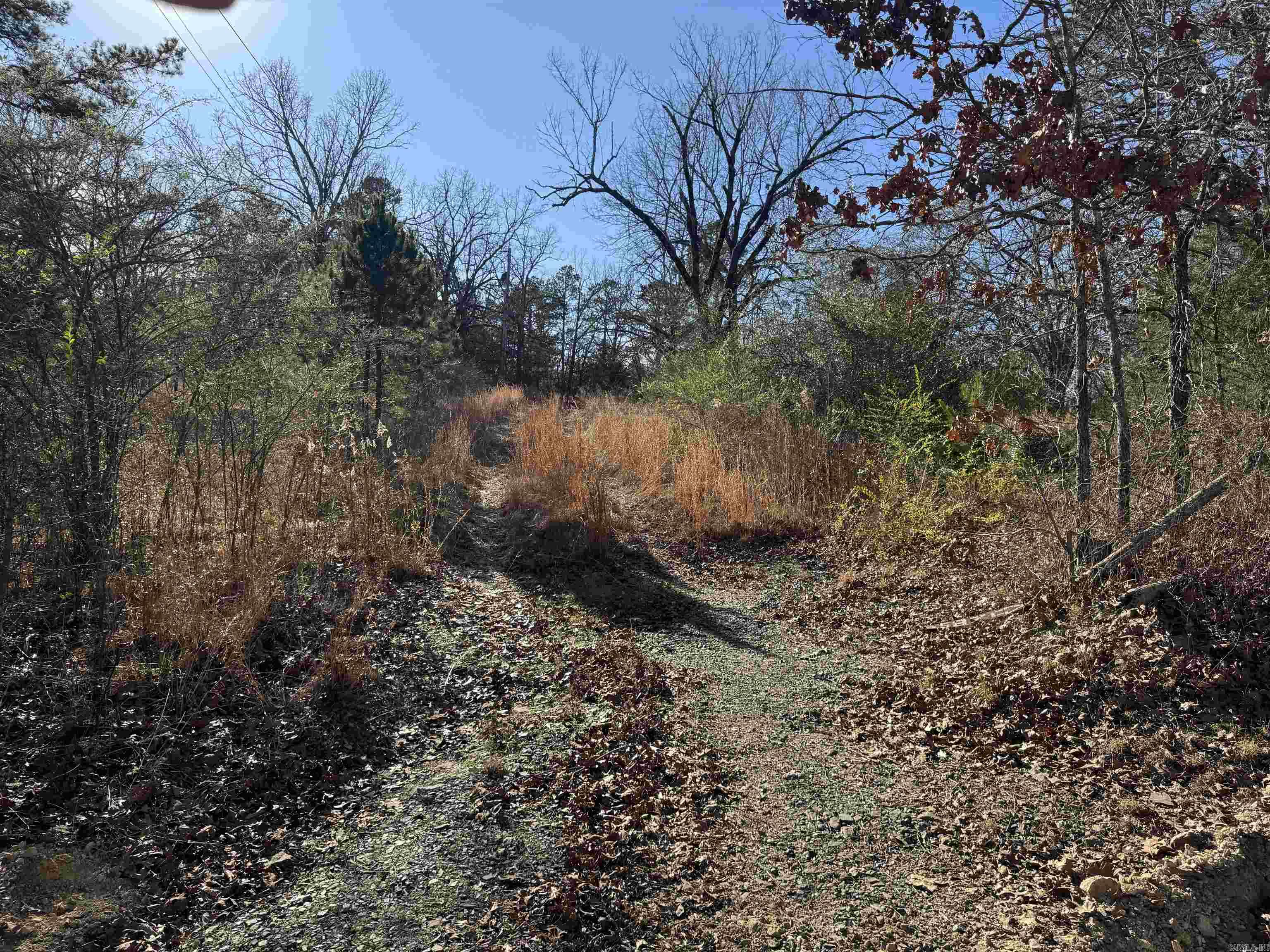 2859 HWY 71 N  Mena, AR