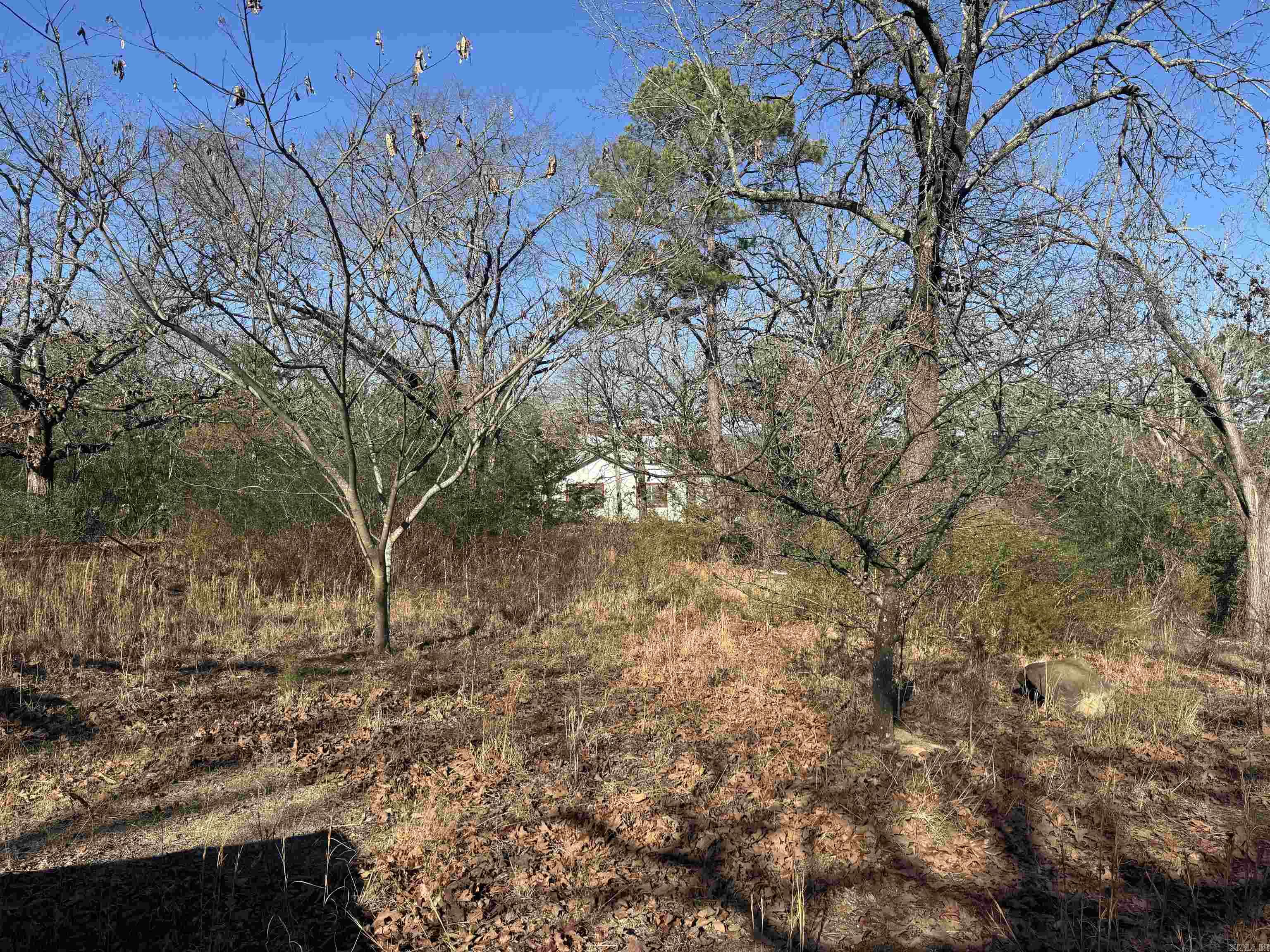 2859 HWY 71 N  Mena, AR