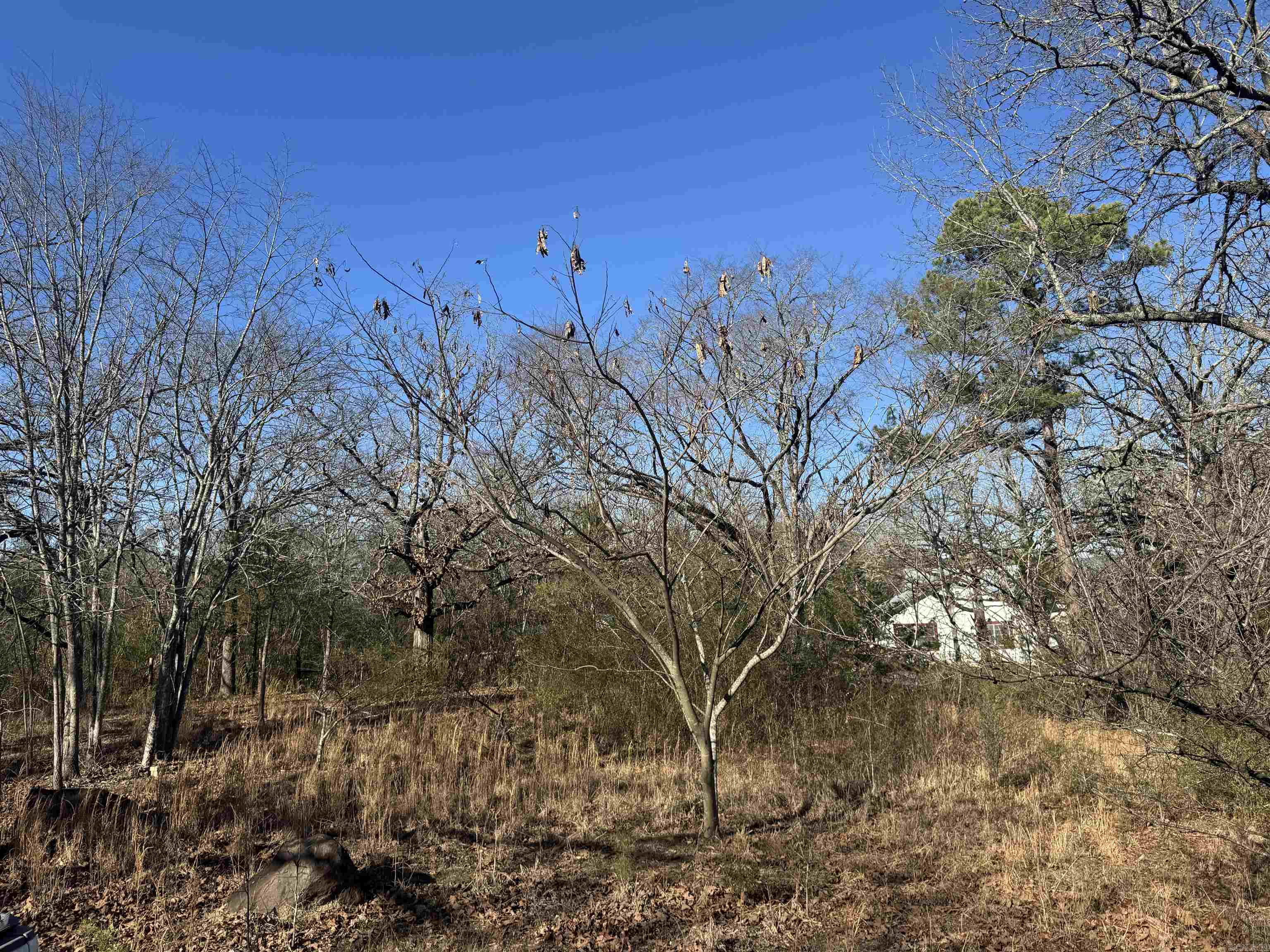 2859 HWY 71 N  Mena, AR