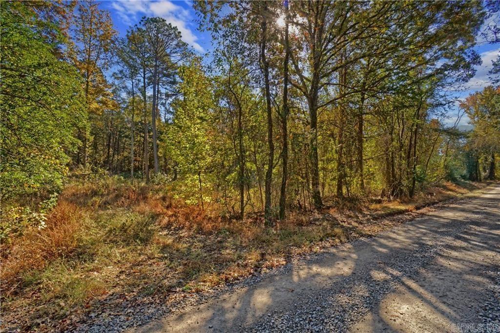 Lot 6 Melvin Ln.  Dover, AR