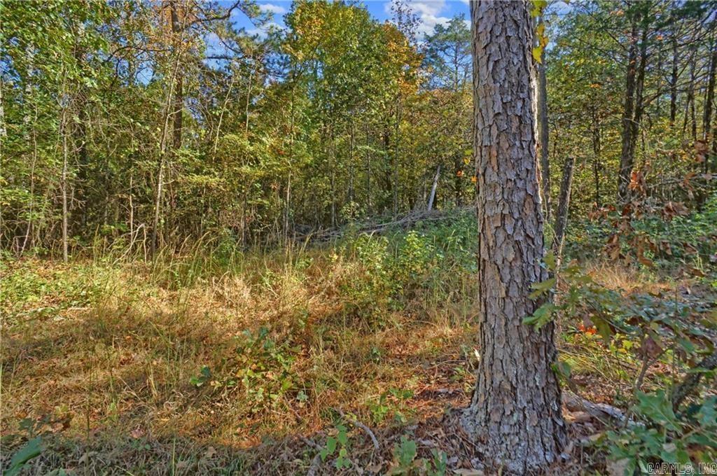 Lot 6 Melvin Ln.  Dover, AR