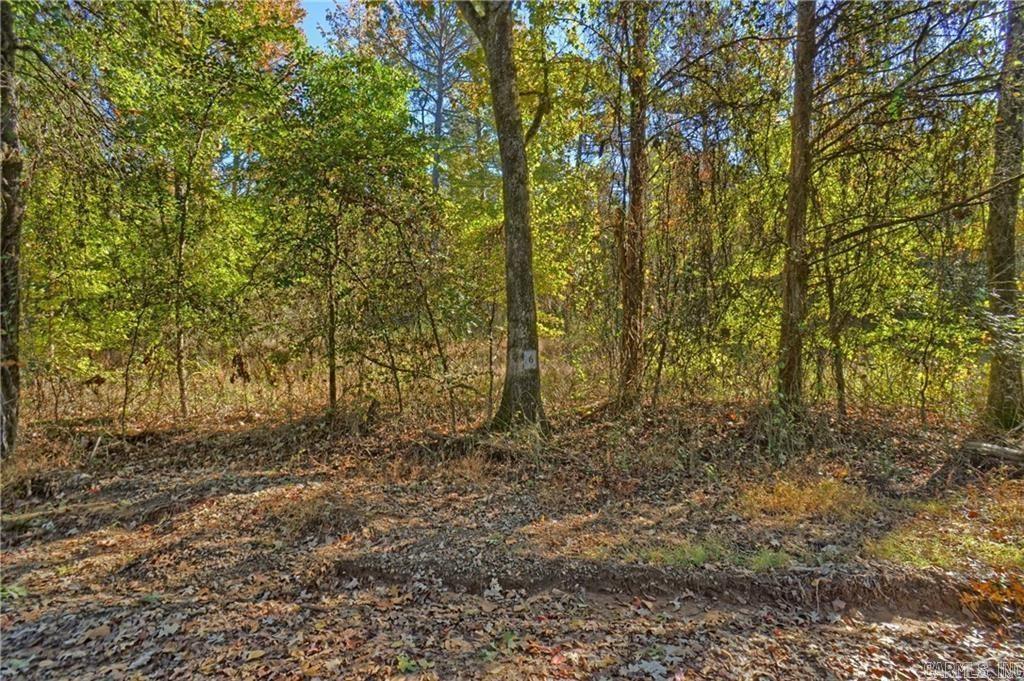 Lot 6 Melvin Ln.  Dover, AR