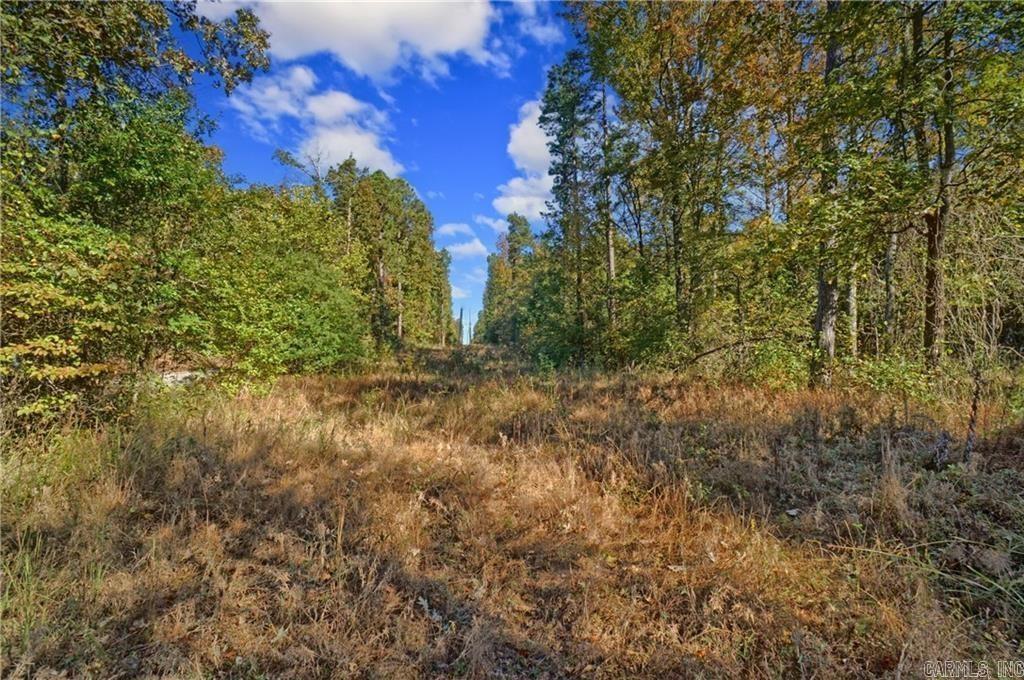 Lot 6 Melvin Ln.  Dover, AR