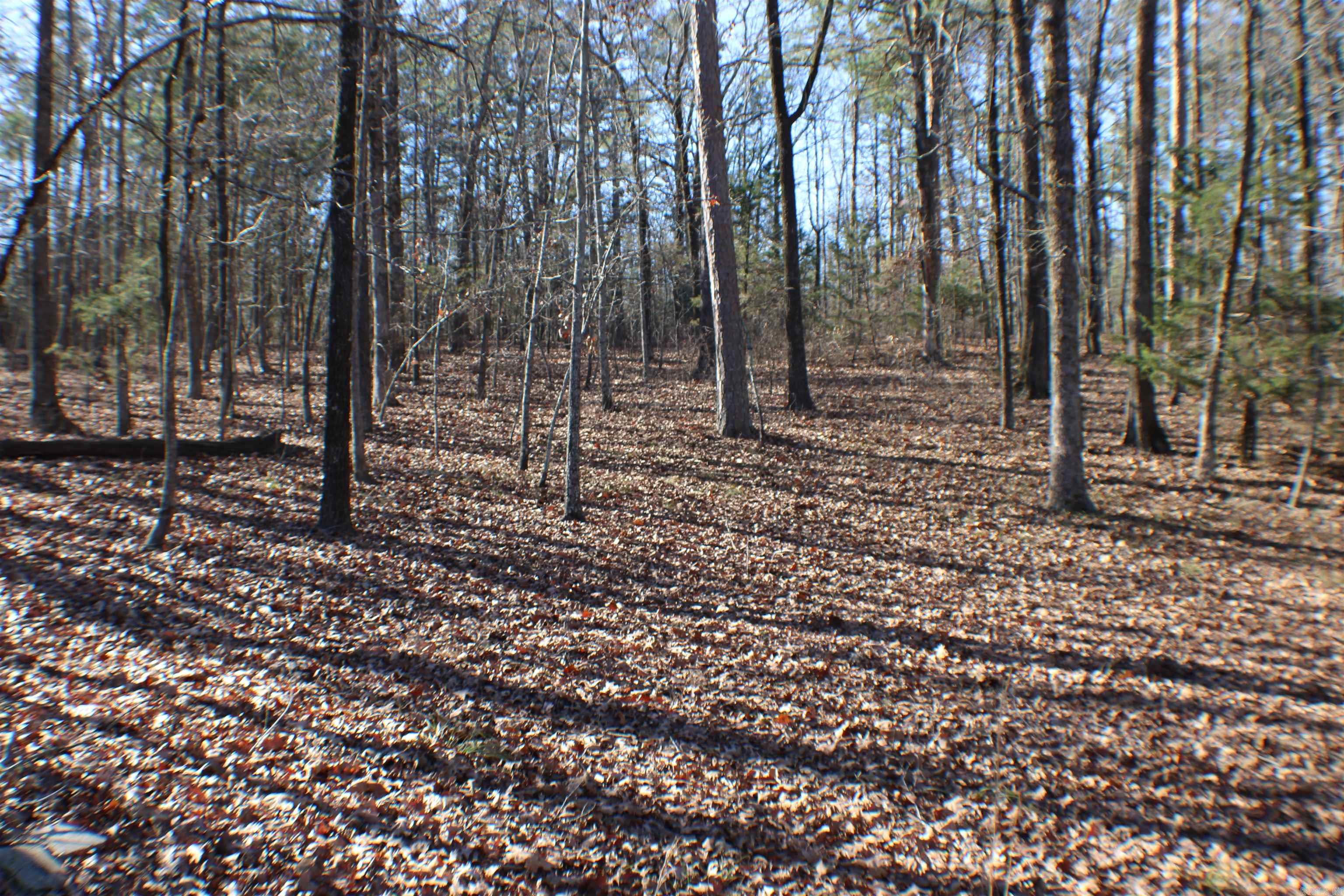 39 Dike View  Heber Springs, AR